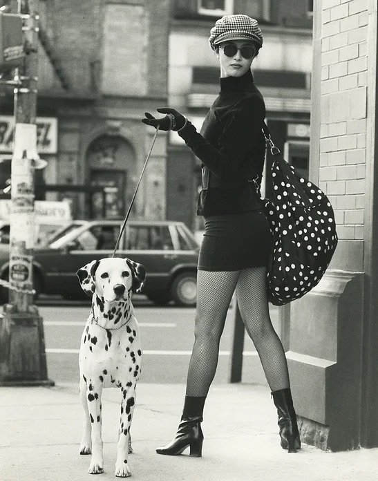 Model &amp; Dalmatian