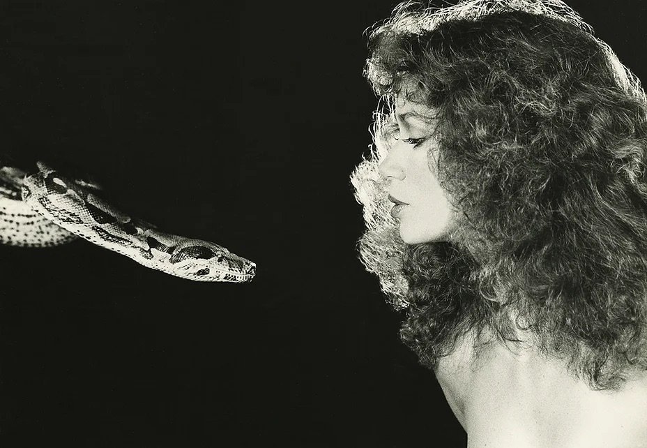 Reineke &amp; Snake