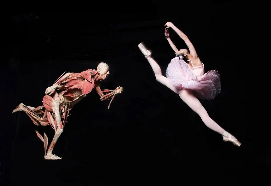 Bodies Exhibit &amp; Ballerina 