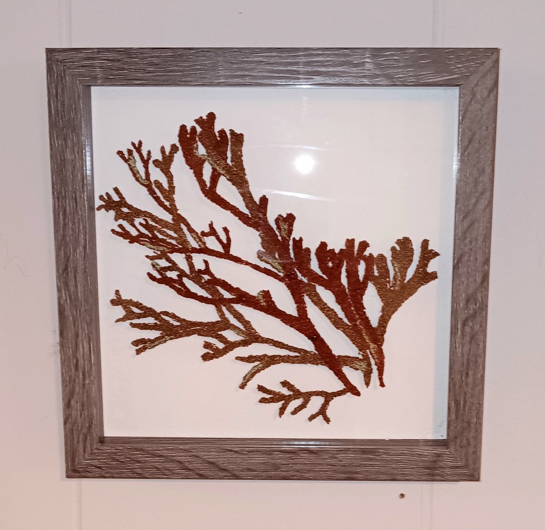 Seaweed. 8" x 8" shadow box frame. $85