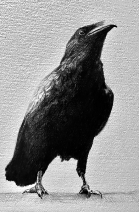 raven2.png