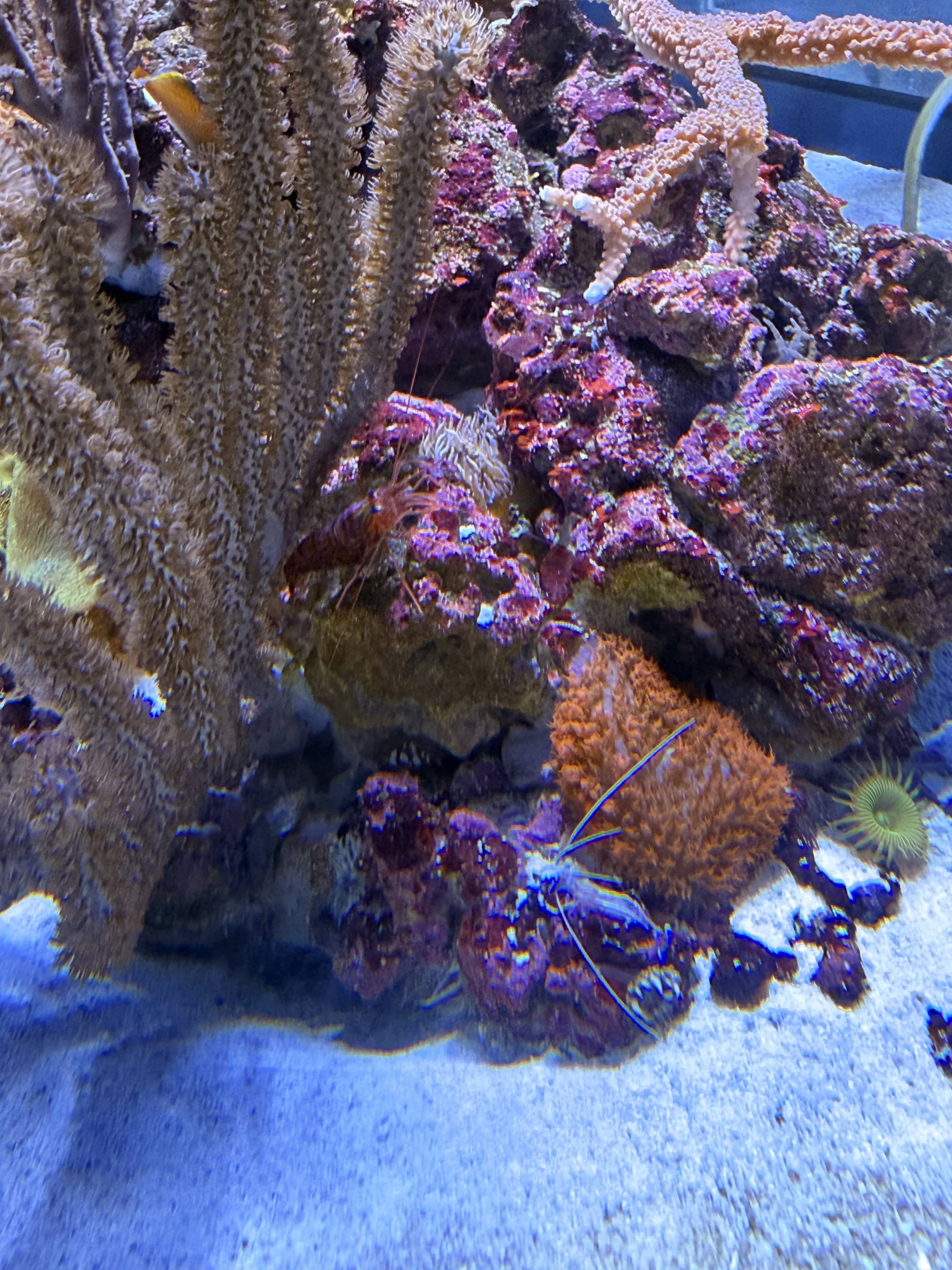 IMG_9239.jpg