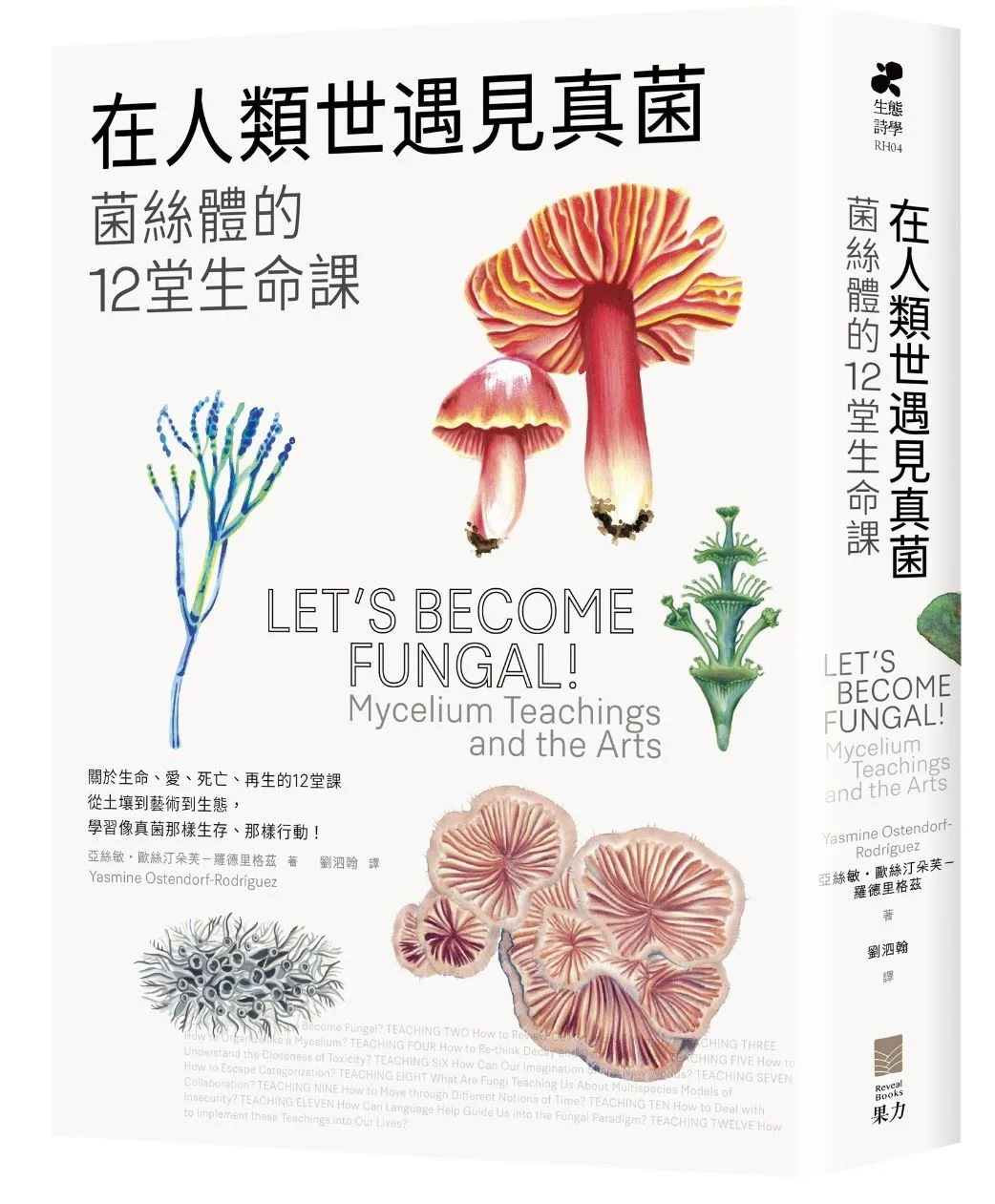 let´s become fungal mandarin