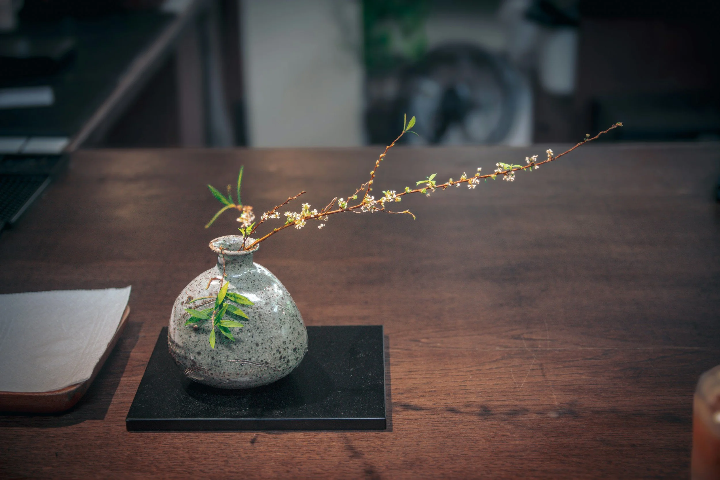 Donna Metta Jordan is the creator of TheraCoaching™, a proprietary relational
identity integration method that supports women through motherhood, relationships, and
life transitions. Sessions available online or in-person in Greenville, SC.