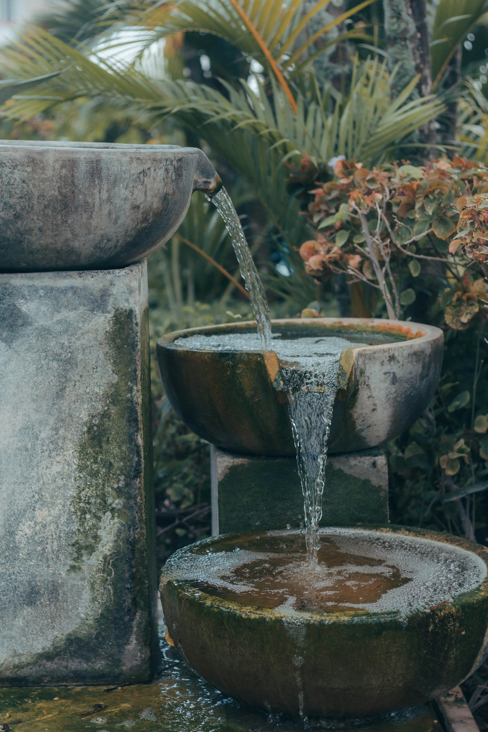 unsplash-image-tK_XV6rHl0o.jpg