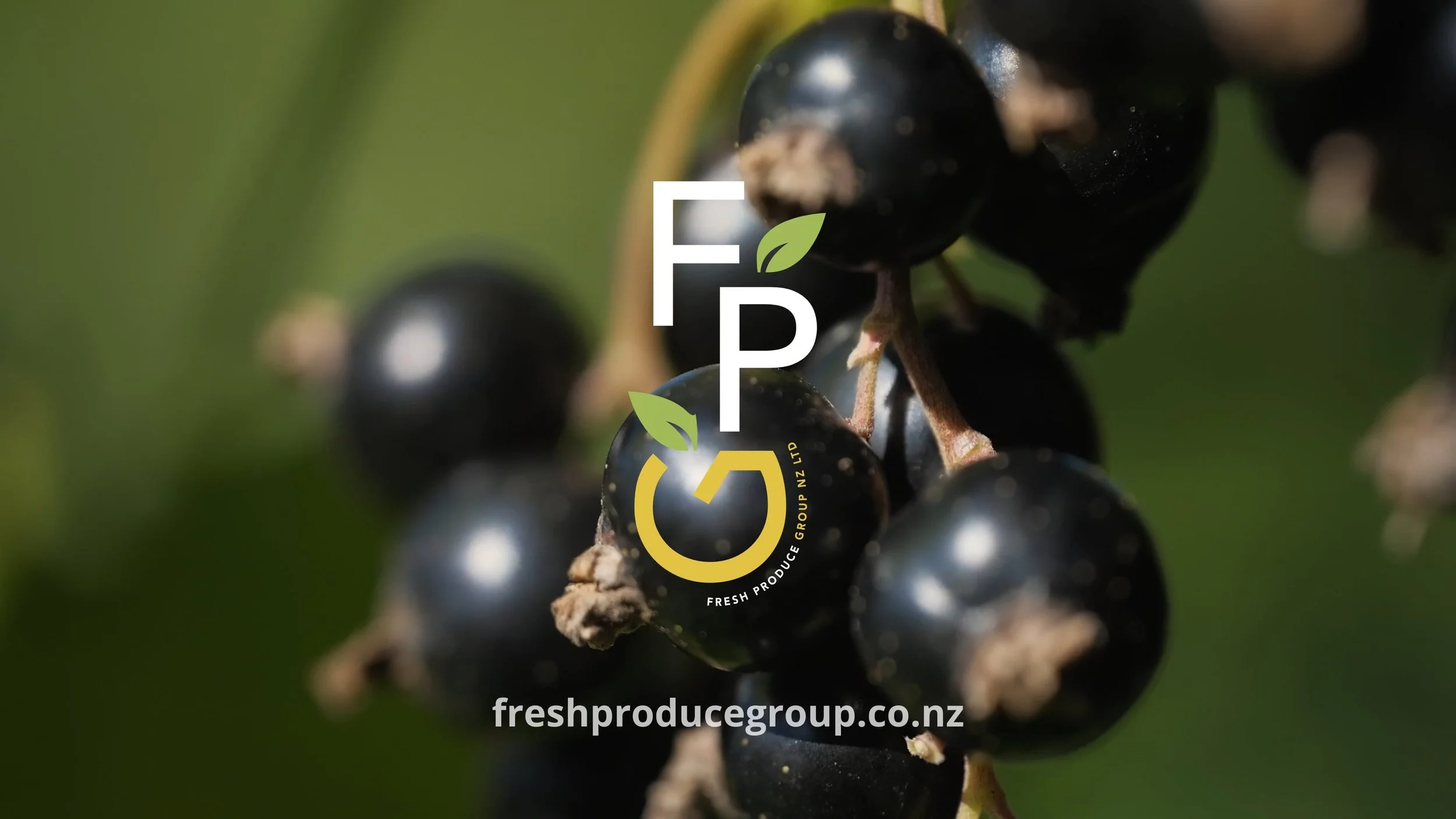 Fresh Produce Group - NZ Blackcurrants