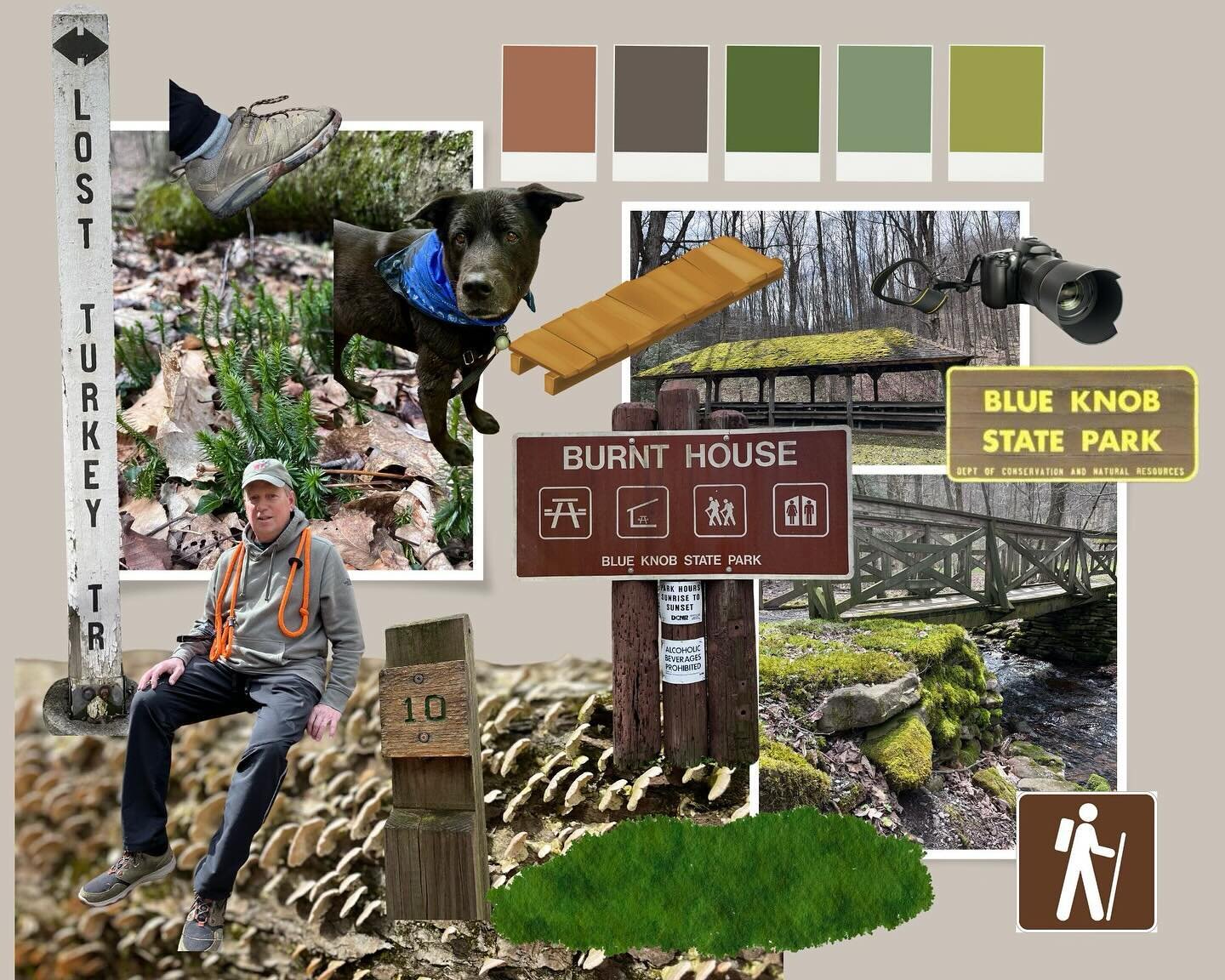📍Lost Turkey Trail, Burnt House Cabin 

Mood Board for Lost Turkey Trail, Burnt House Cabin edit. One of my personal favorite local trails to hike with my Dad! 

Hikes with Haley, hosted by Bedford native and entrepreneur Haley Feaster, are monthly 