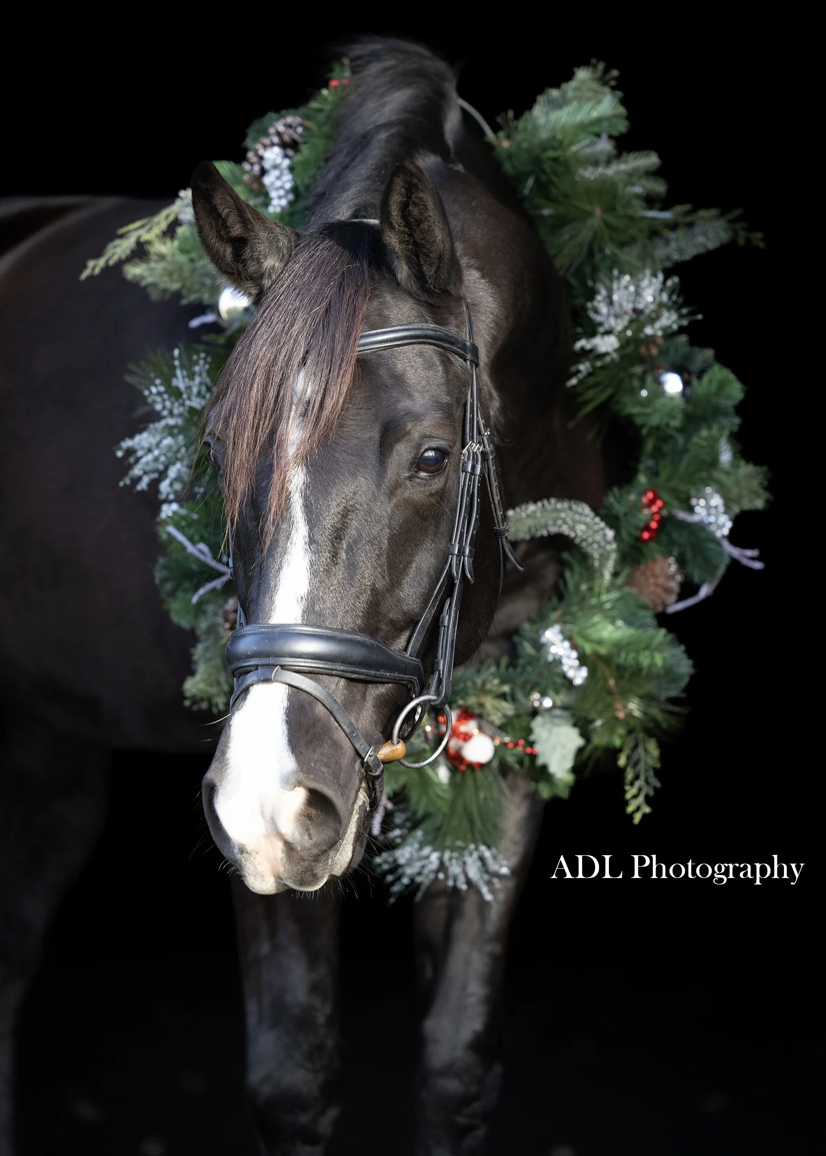 0G5A6383_125_ADL Photography_Text Watermark.jpg