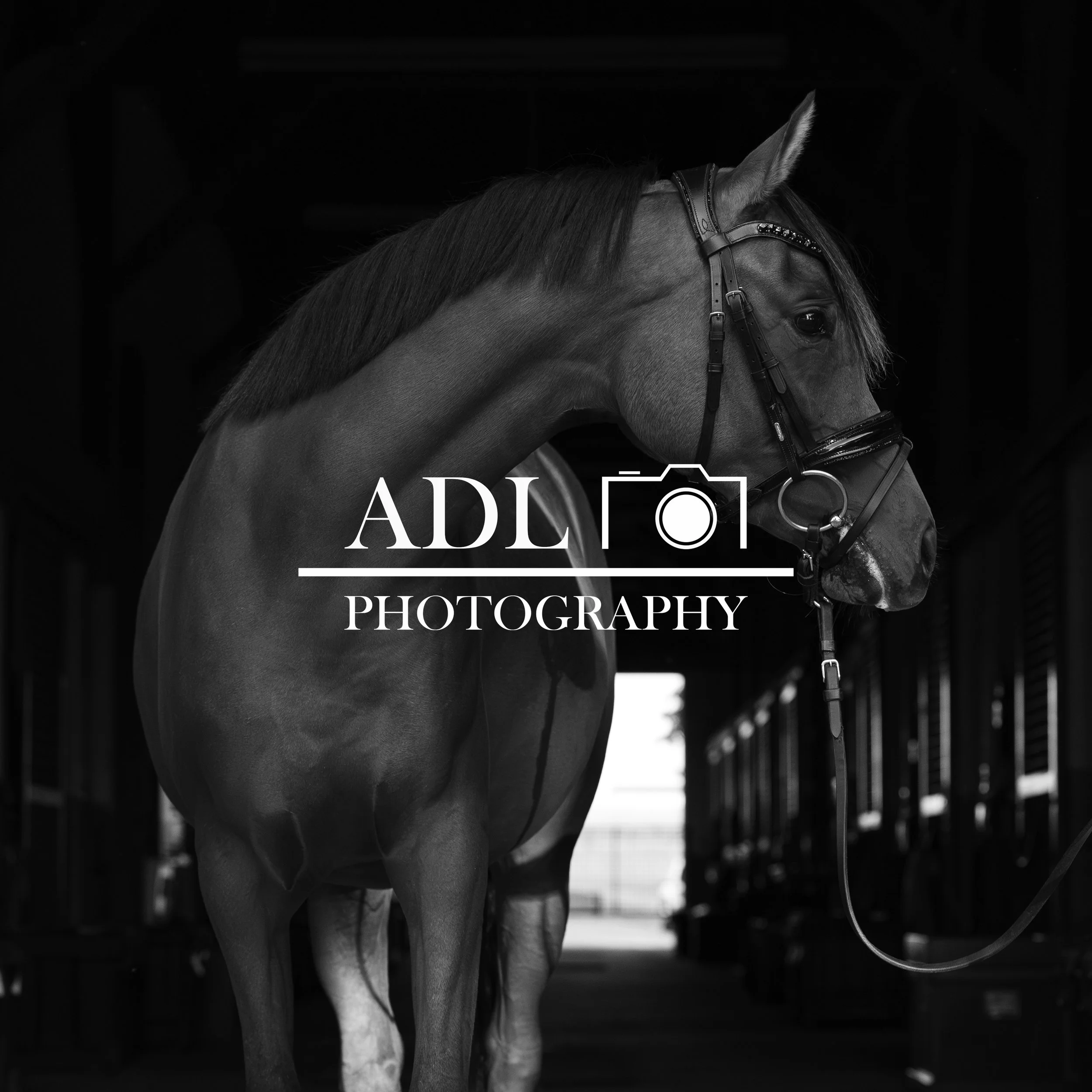 0G5A3317_ADL Photography Logo.jpg