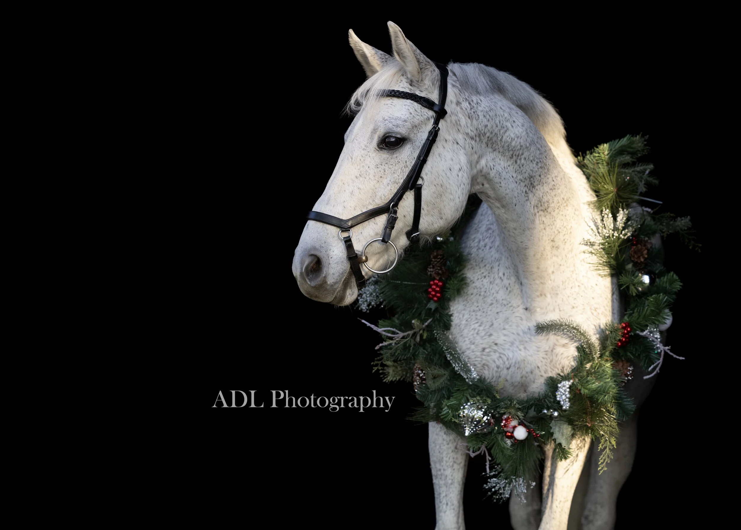0G5A6859_125_ADL Photography_Text Watermark.jpg