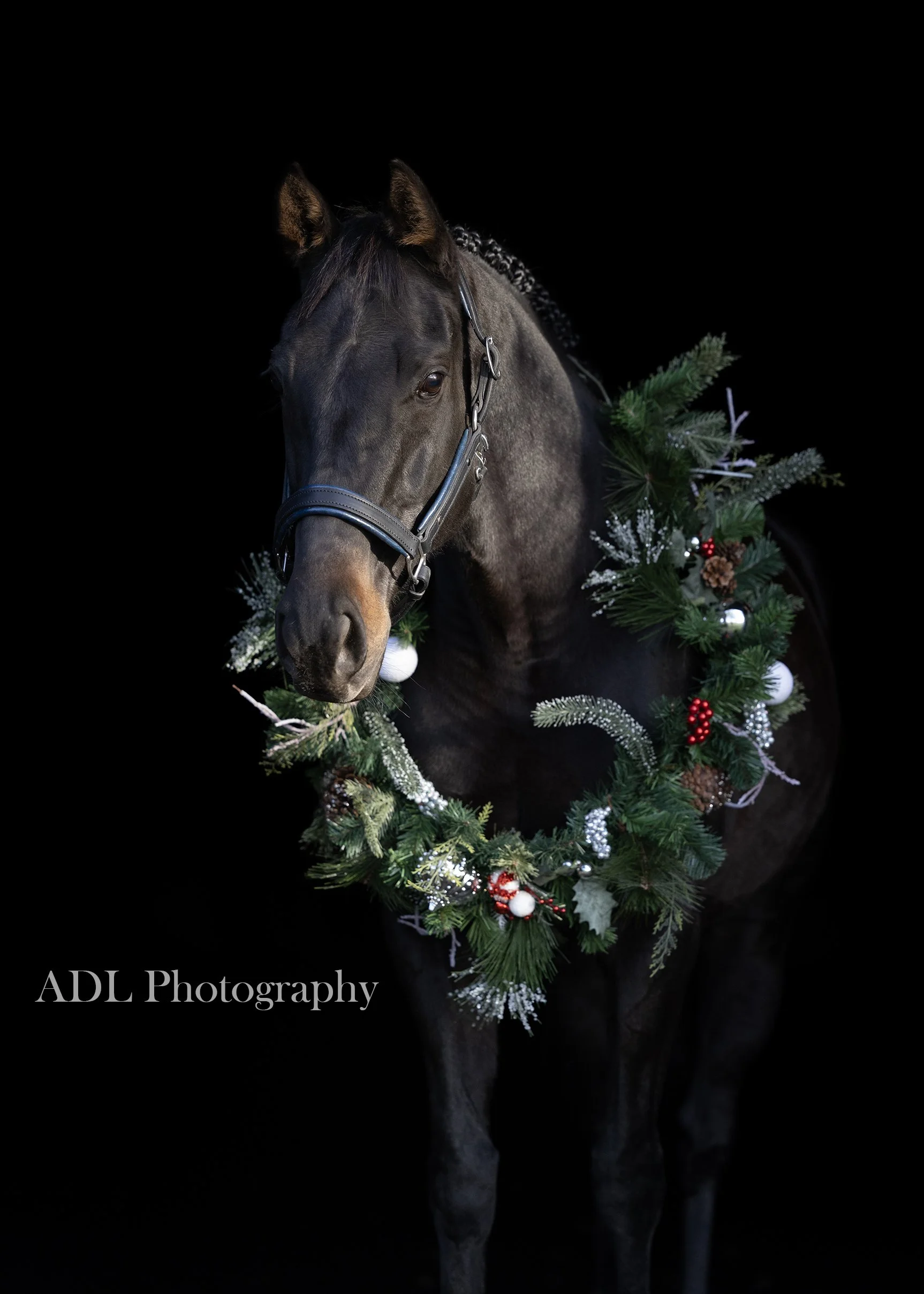 0G5A6516_125_ADL Photography_Text Watermark.jpg