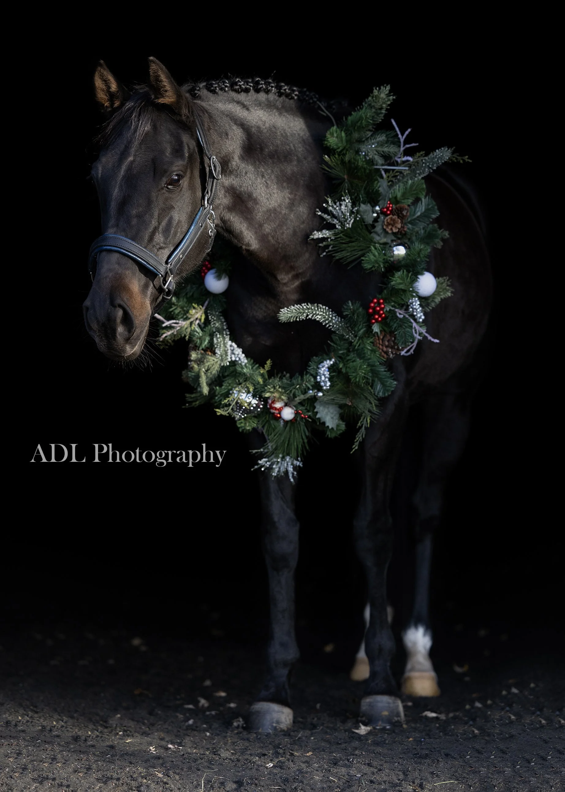 0G5A6534_125_ADL Photography_Text Watermark.jpg