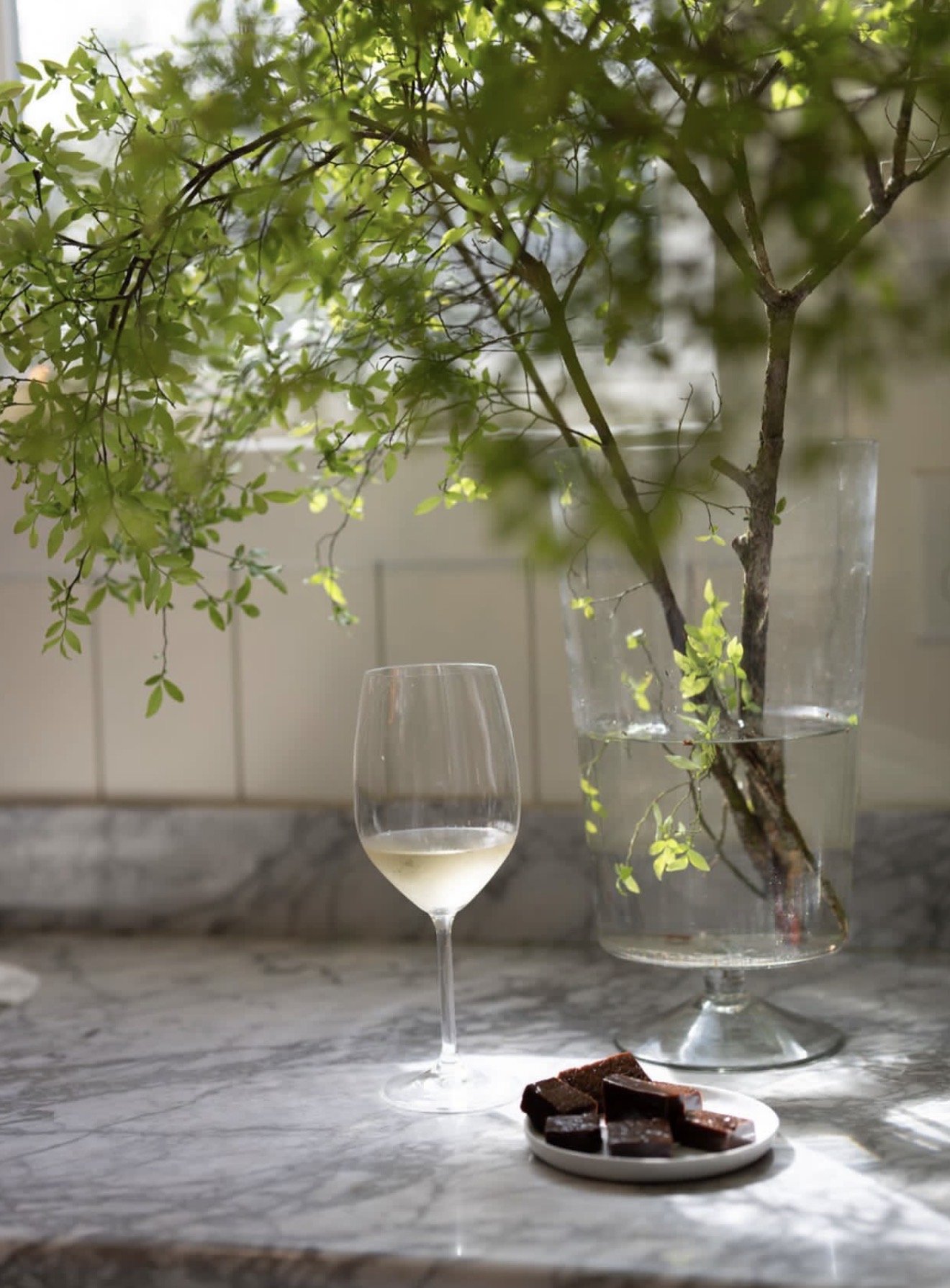 A glass of white wine, a small plate of chocolate, and a tall vase with a green leafy plant on a marble surface, with a window in the background.