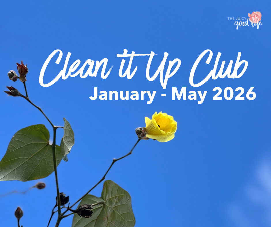 Clean it Up Club
