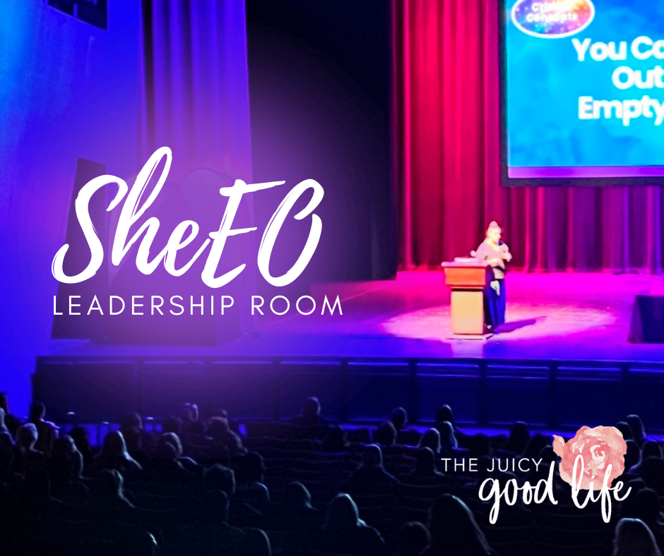 SheEO: Leadership Room