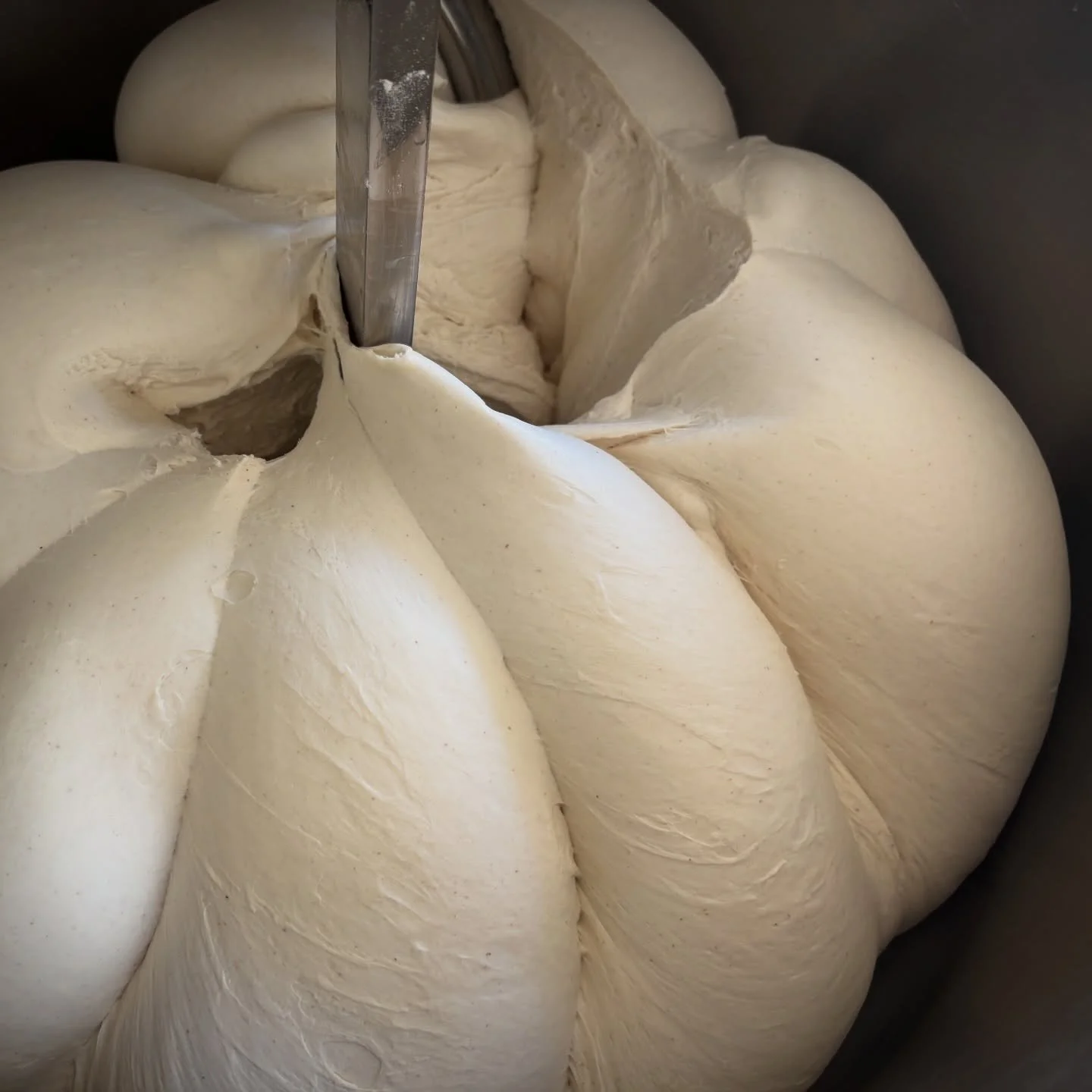 This is where it begins for Otto Cucina.
Hand crafted dough - time, fermentation, and a lot of love. The part you don&rsquo;t see, but taste in every bite. Exceptional pizza starts well before the oven.
.
Get in touch for event bookings via hello@ott