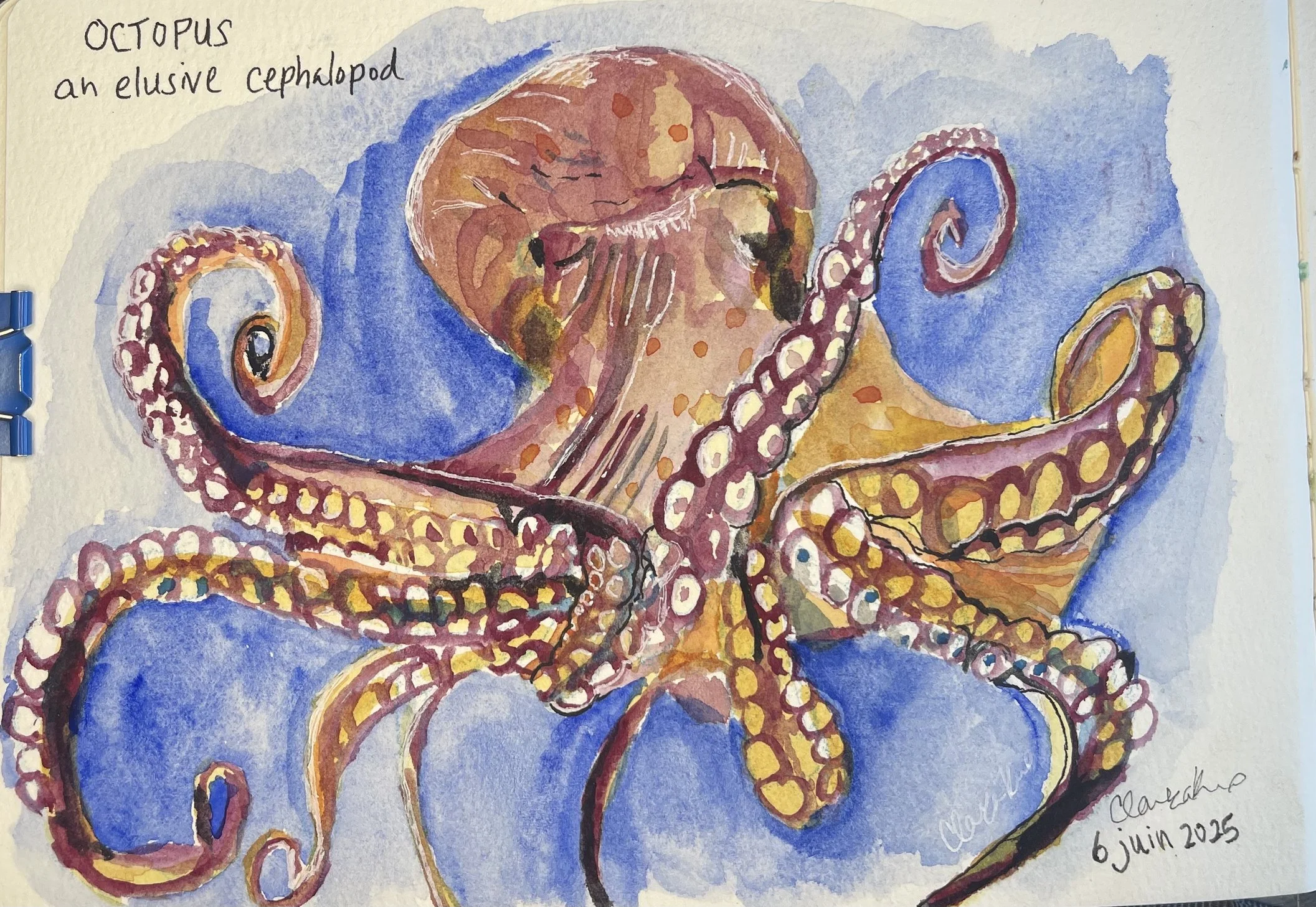 Ode to an Octopus