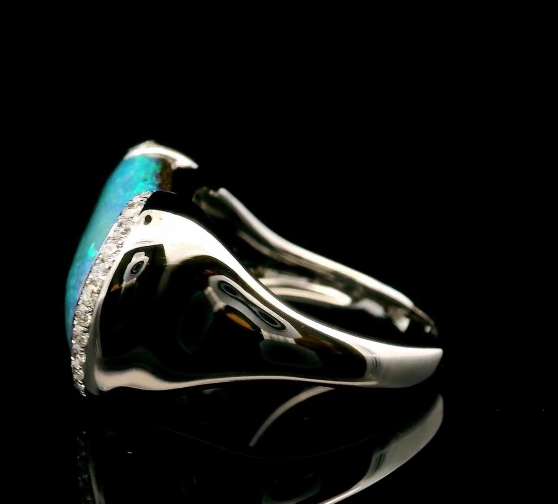 12303_3.jpg