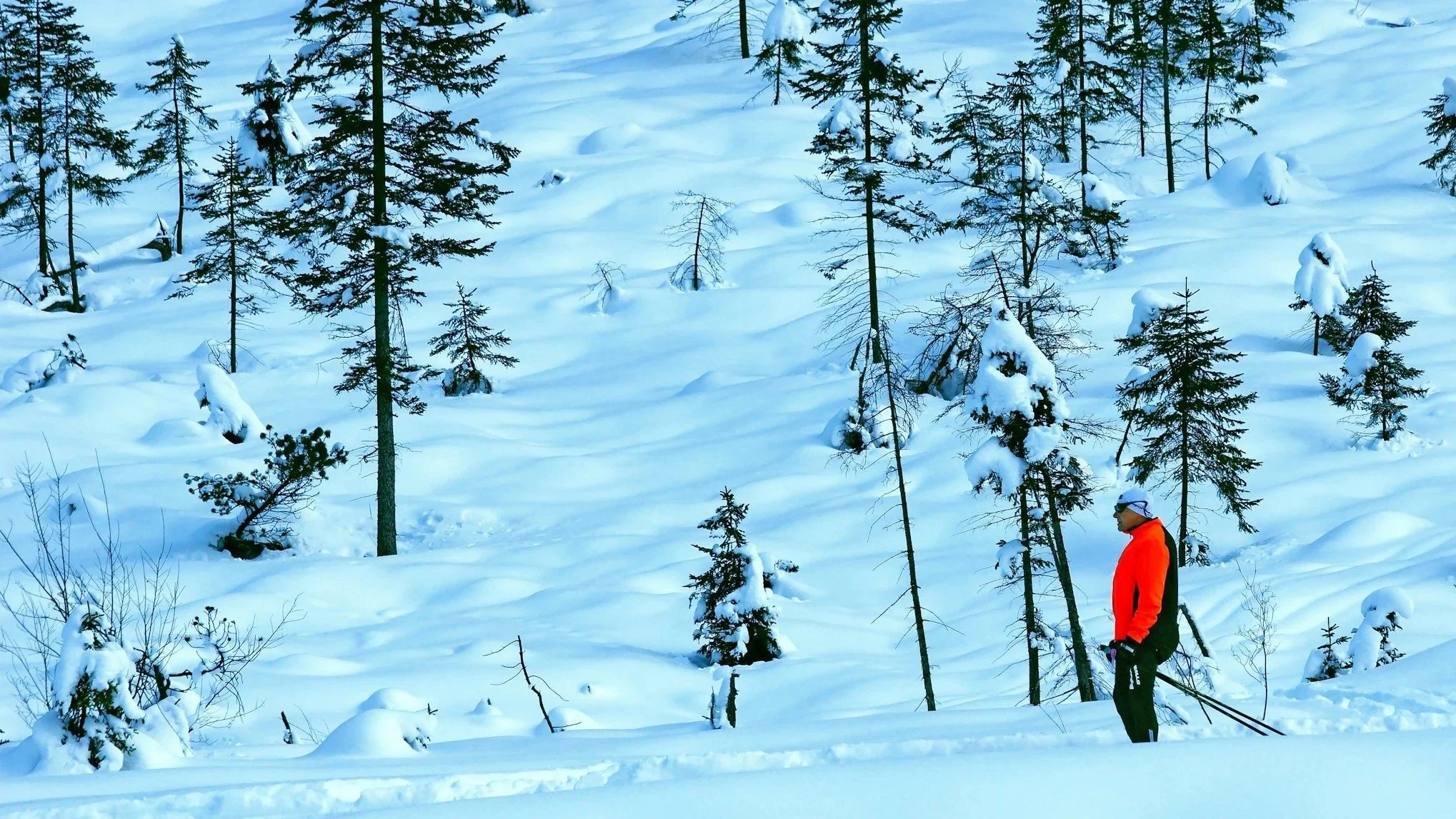 Best Jackets for Cross Country Skiing - Our Guide