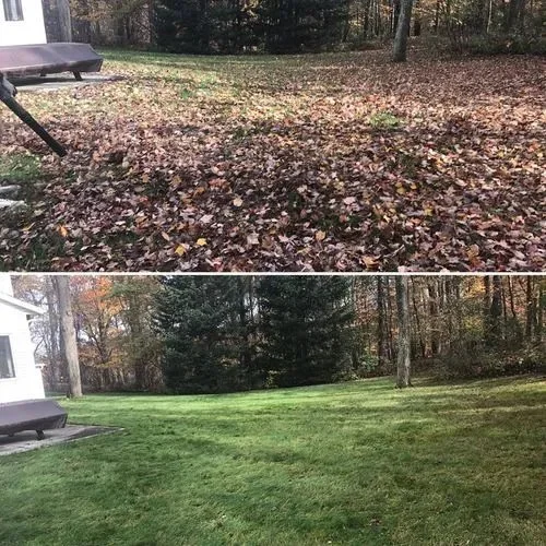before:after leaf cleanup .jpg