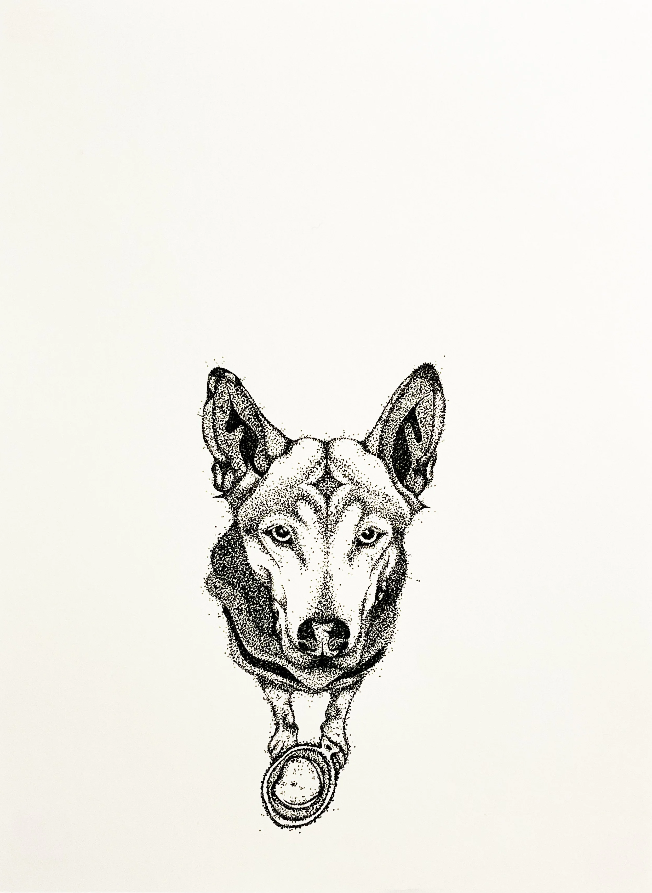 08_%22Mr. Bear%22_Batcheller, Lola.jpg