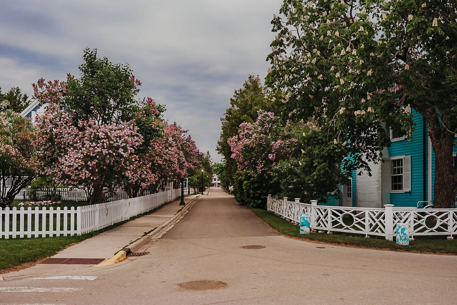 mackinac-island-lilacs.jpg
