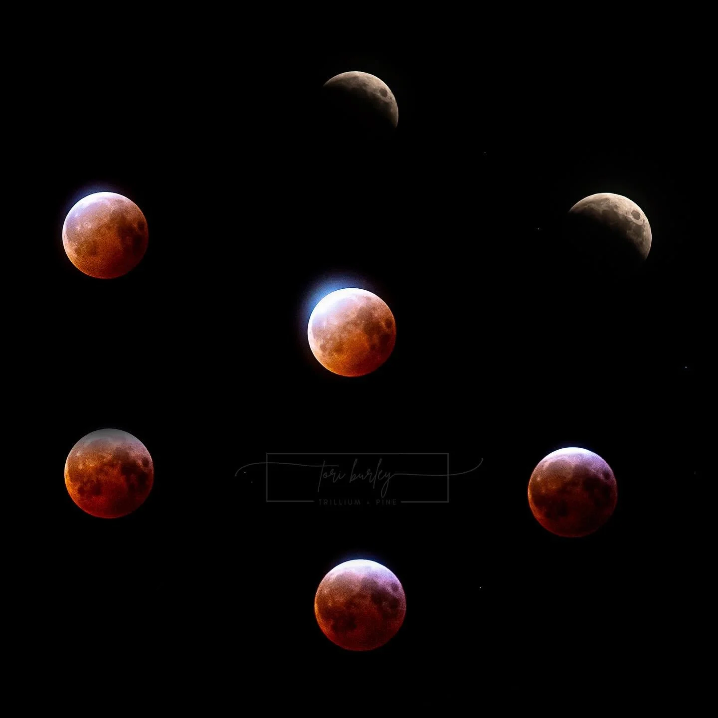 Okay&hellip; just maybe one more.