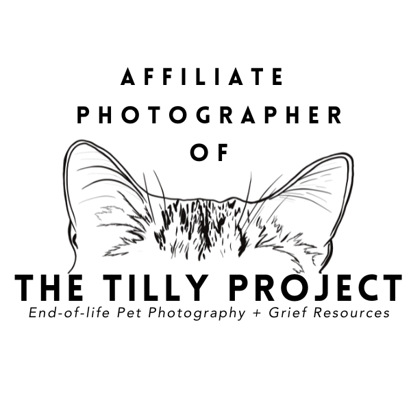 the tilly project pet remembrance photographer