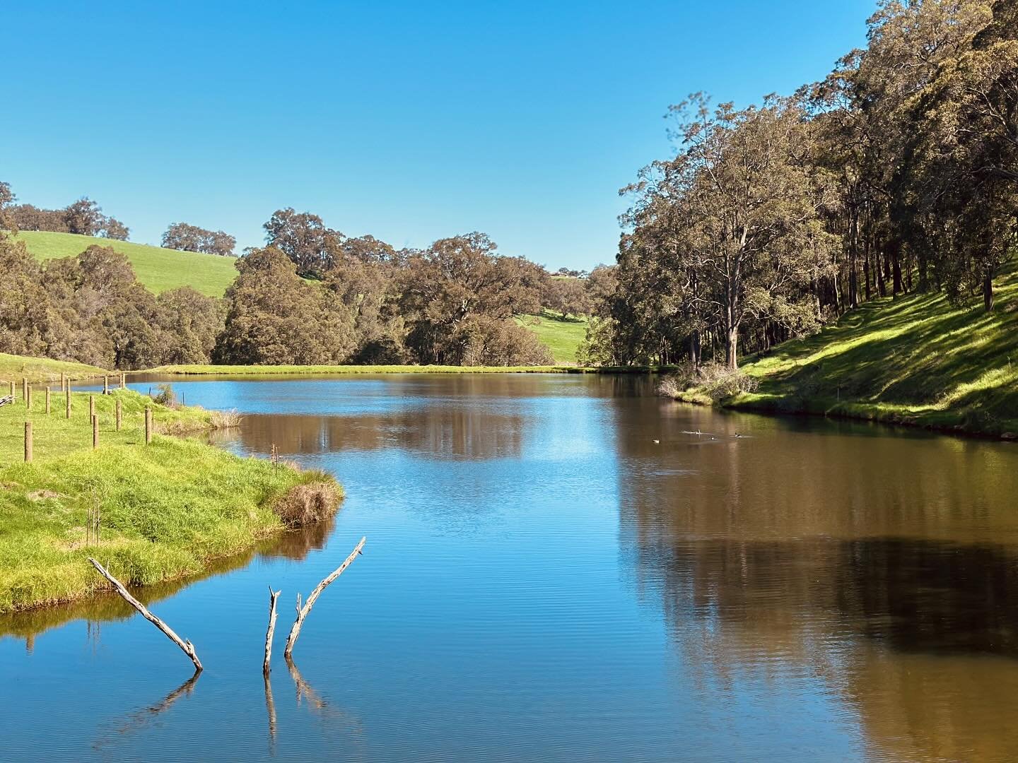 Our venue overlooks a beautiful dam, welcoming visits from the resident ducks, graceful swans, and vibrant native birds. A perfect backdrop for your unforgettable day! 🦆🦢🌿 

#WeddingVenue #NatureLovers #LoveInTheAir #spring #springhassprung #twelv