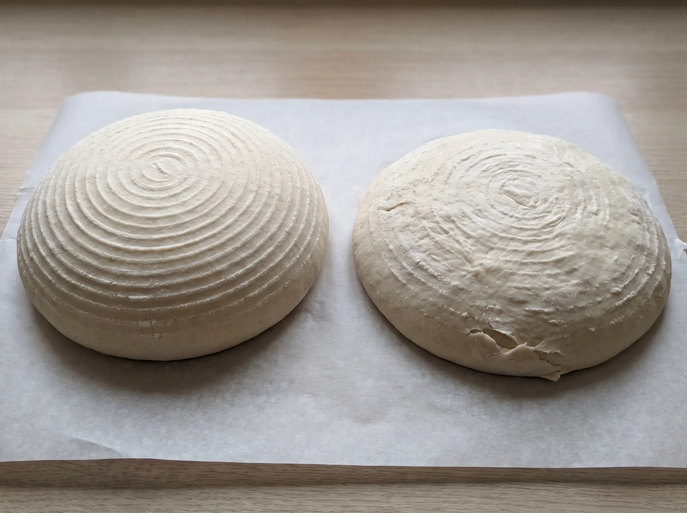 Well-proofed sourdough holding a domed shape next to overproofed dough that slumped flat after banneton release