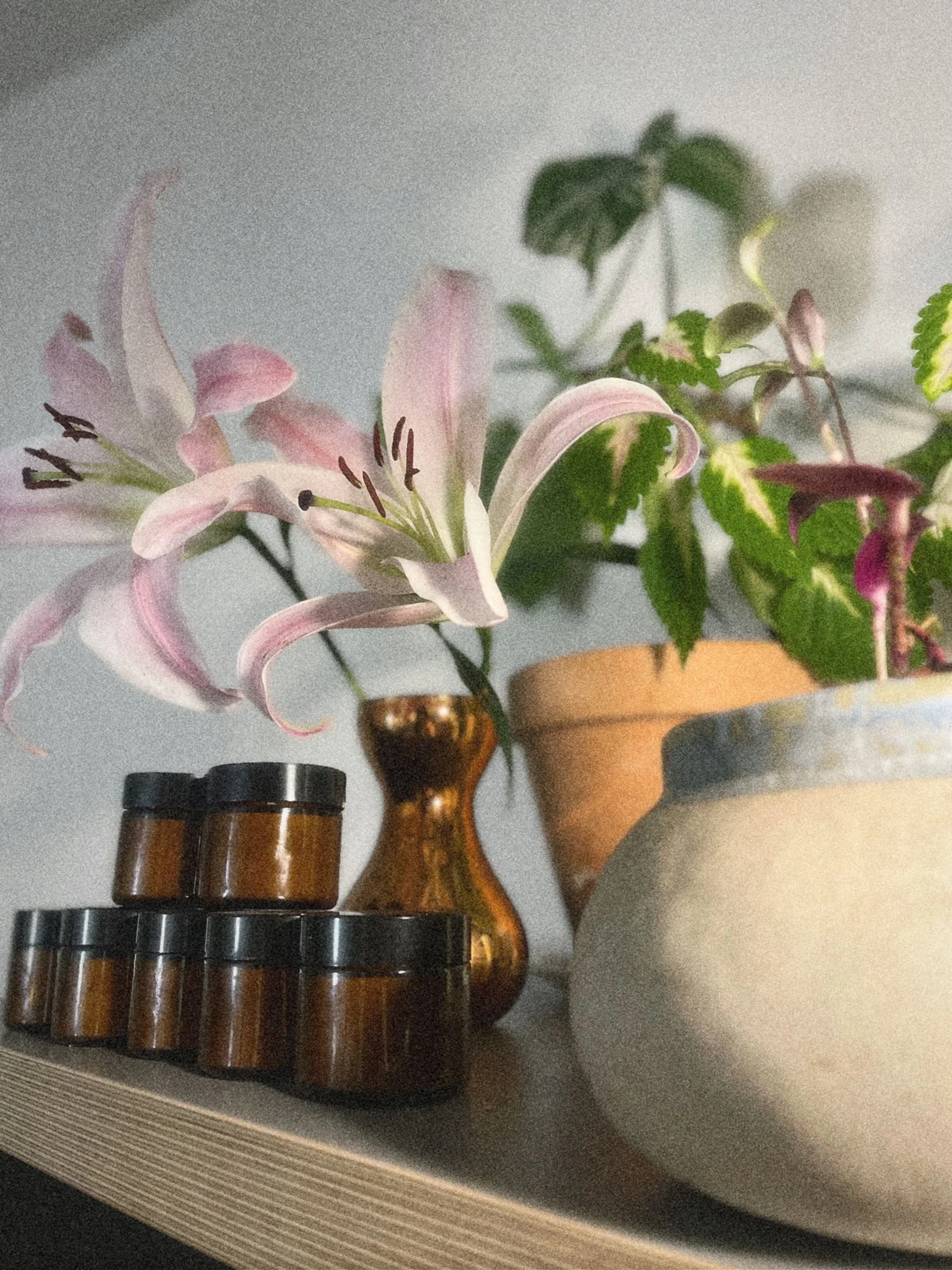 A collection of potted plants and amber jars on a shelf, with pink lilies and green leaves in the background.