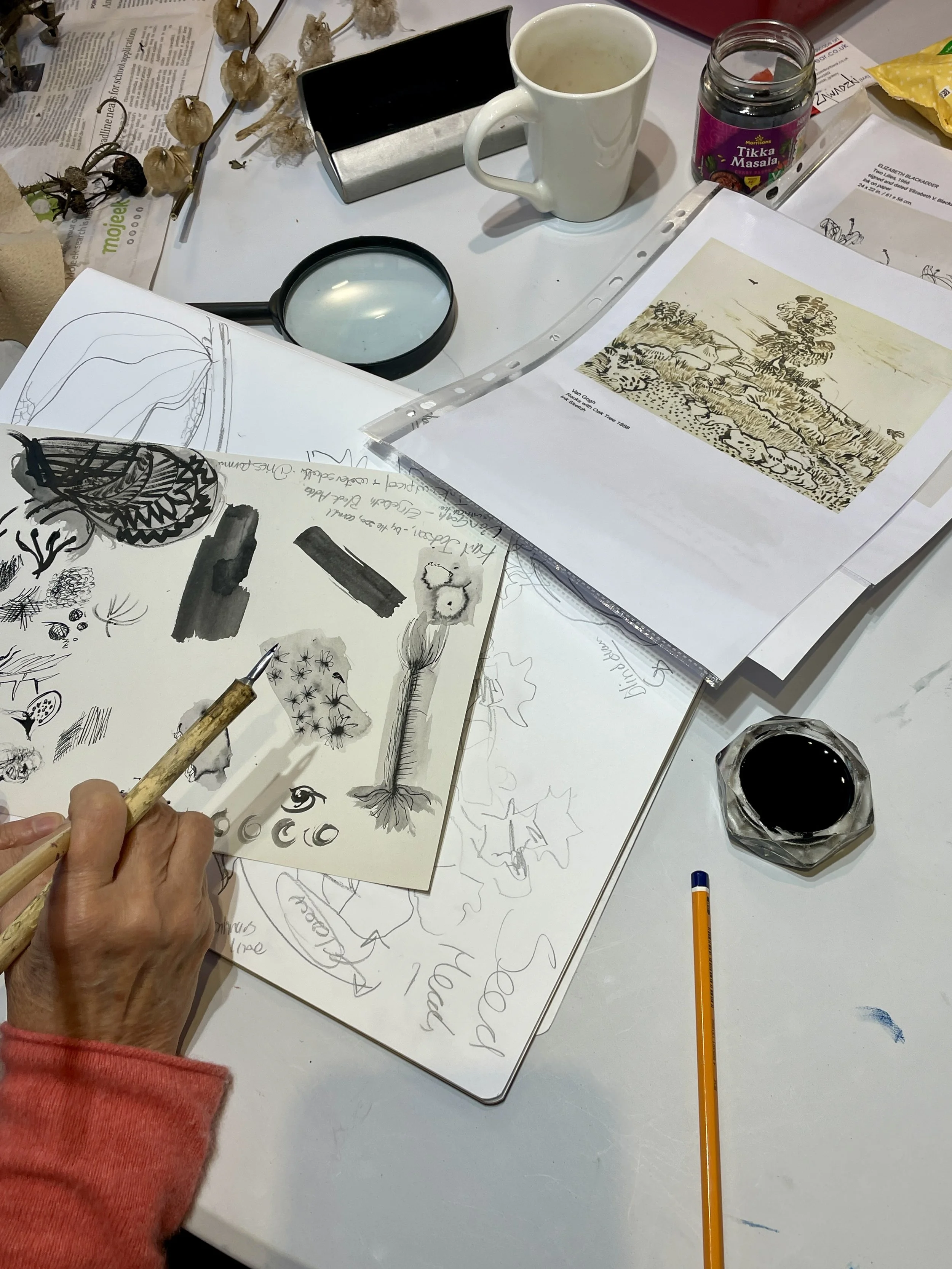  Artful Drawing club activities are inspired by nature, follow the seasons and explore playful drawing techniques. 