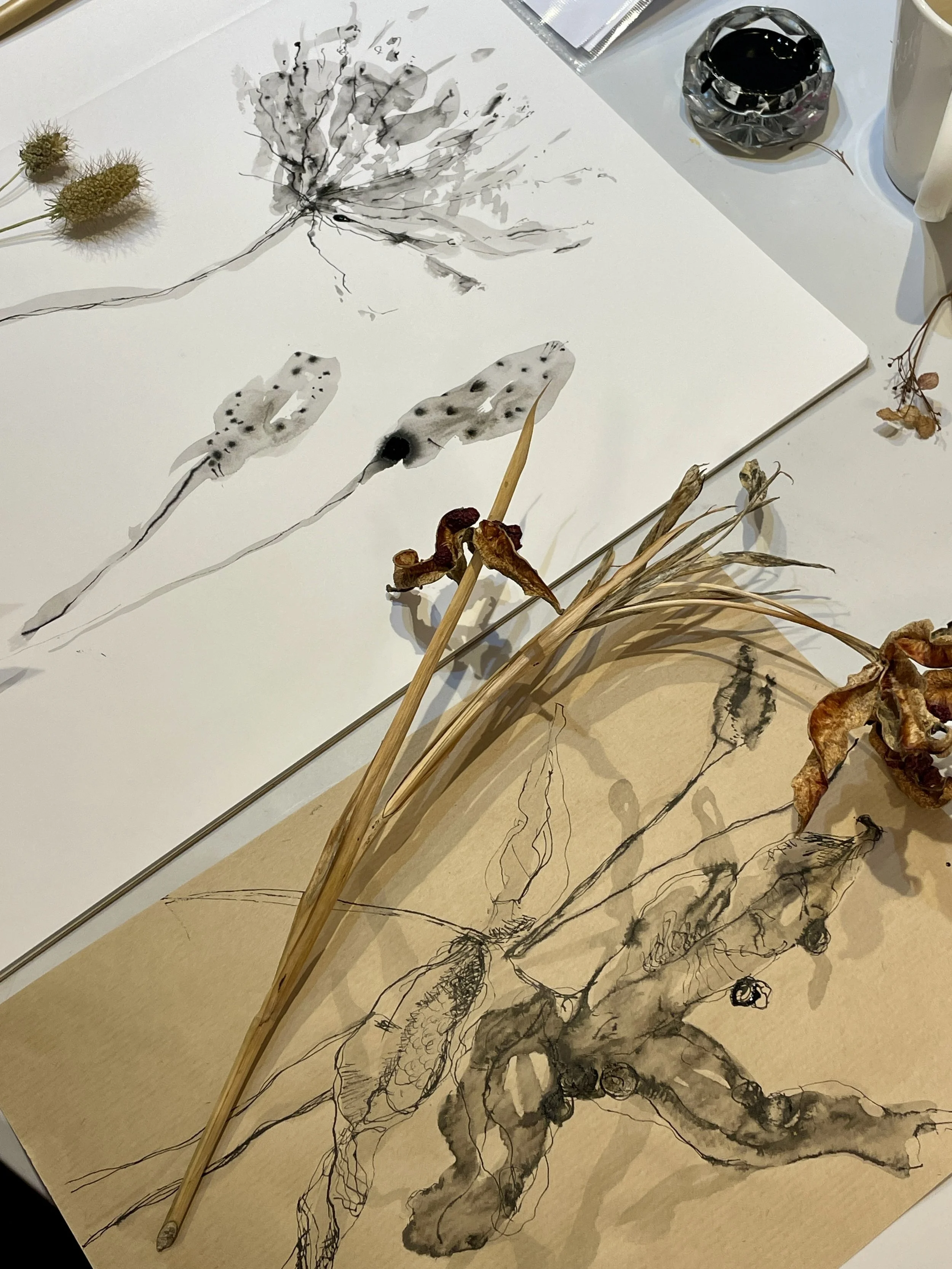  Artful Drawing club activities are inspired by nature, follow the seasons and explore playful drawing techniques. 