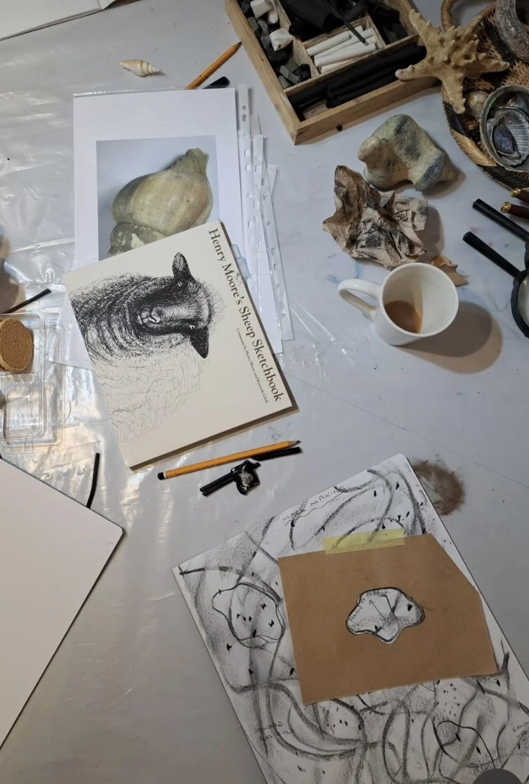  Artful Drawing club activities are inspired by nature, follow the seasons and explore playful drawing techniques. 