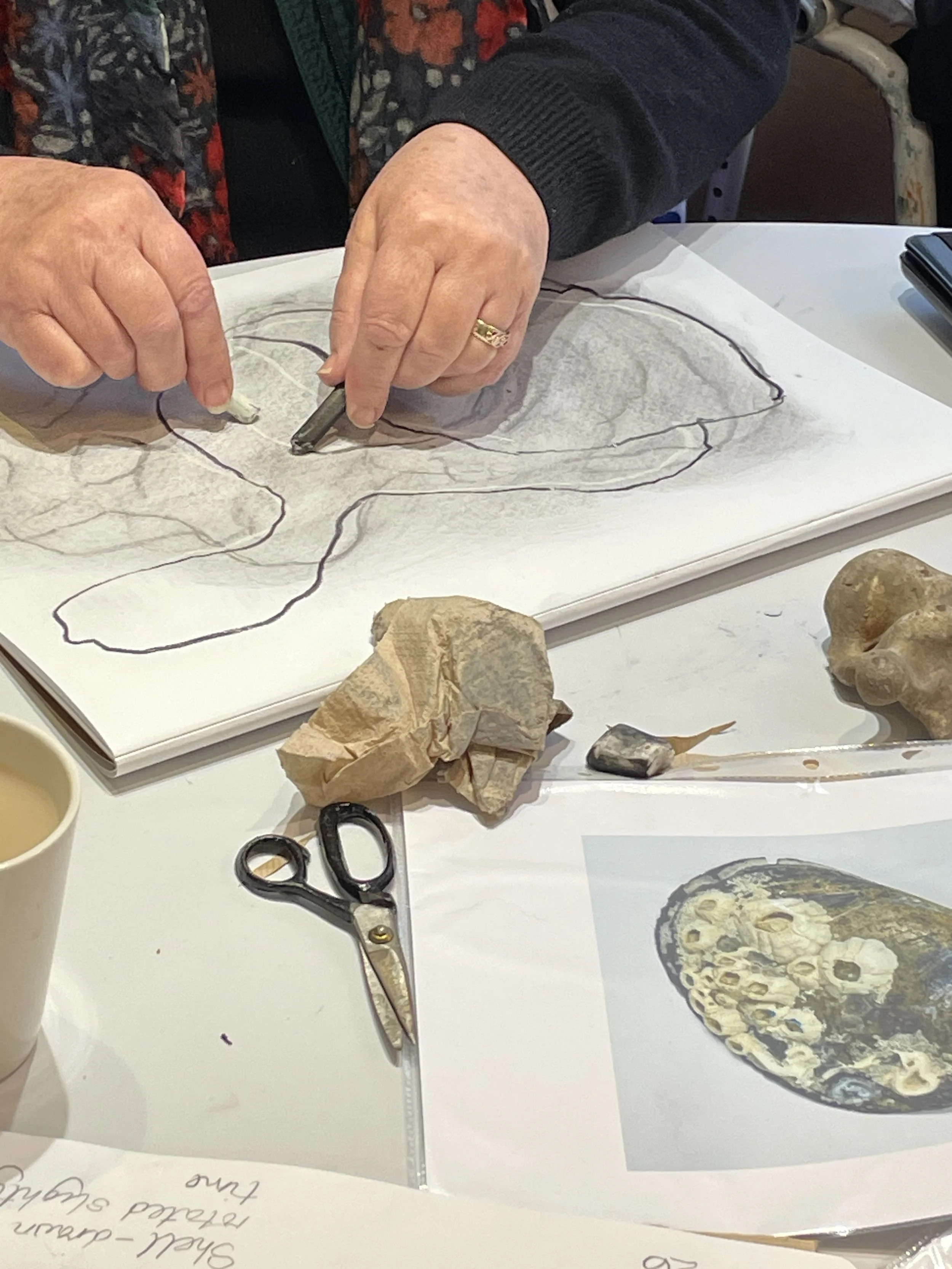  Artful Drawing club activities are inspired by nature, follow the seasons and explore playful drawing techniques. 