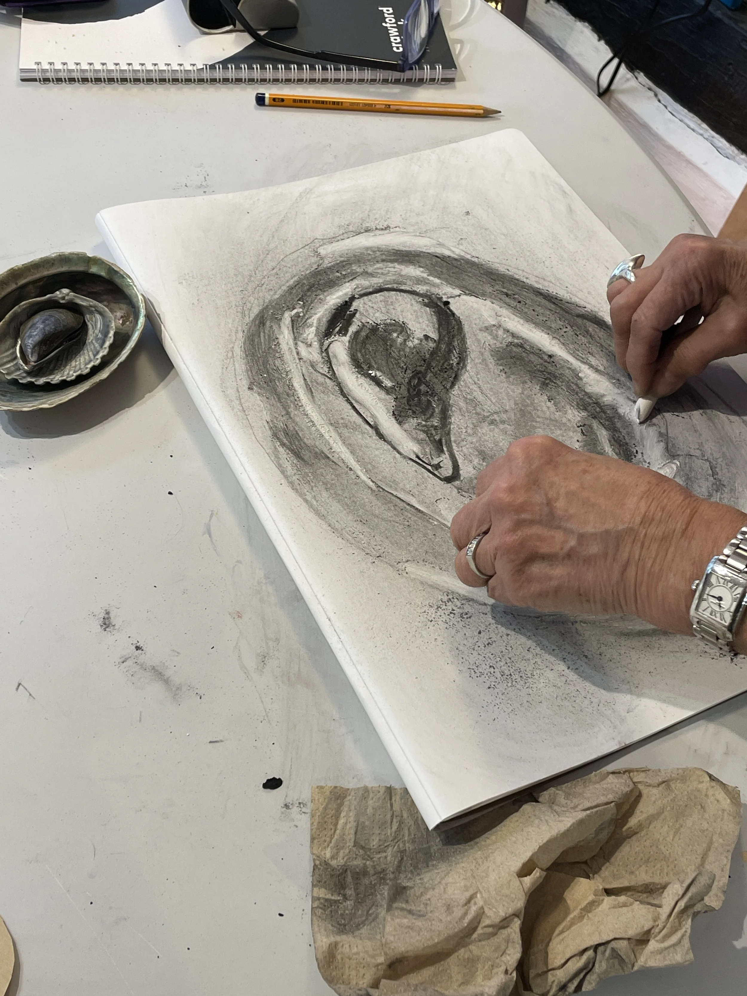  Artful Drawing club activities are inspired by nature, follow the seasons and explore playful drawing techniques. 