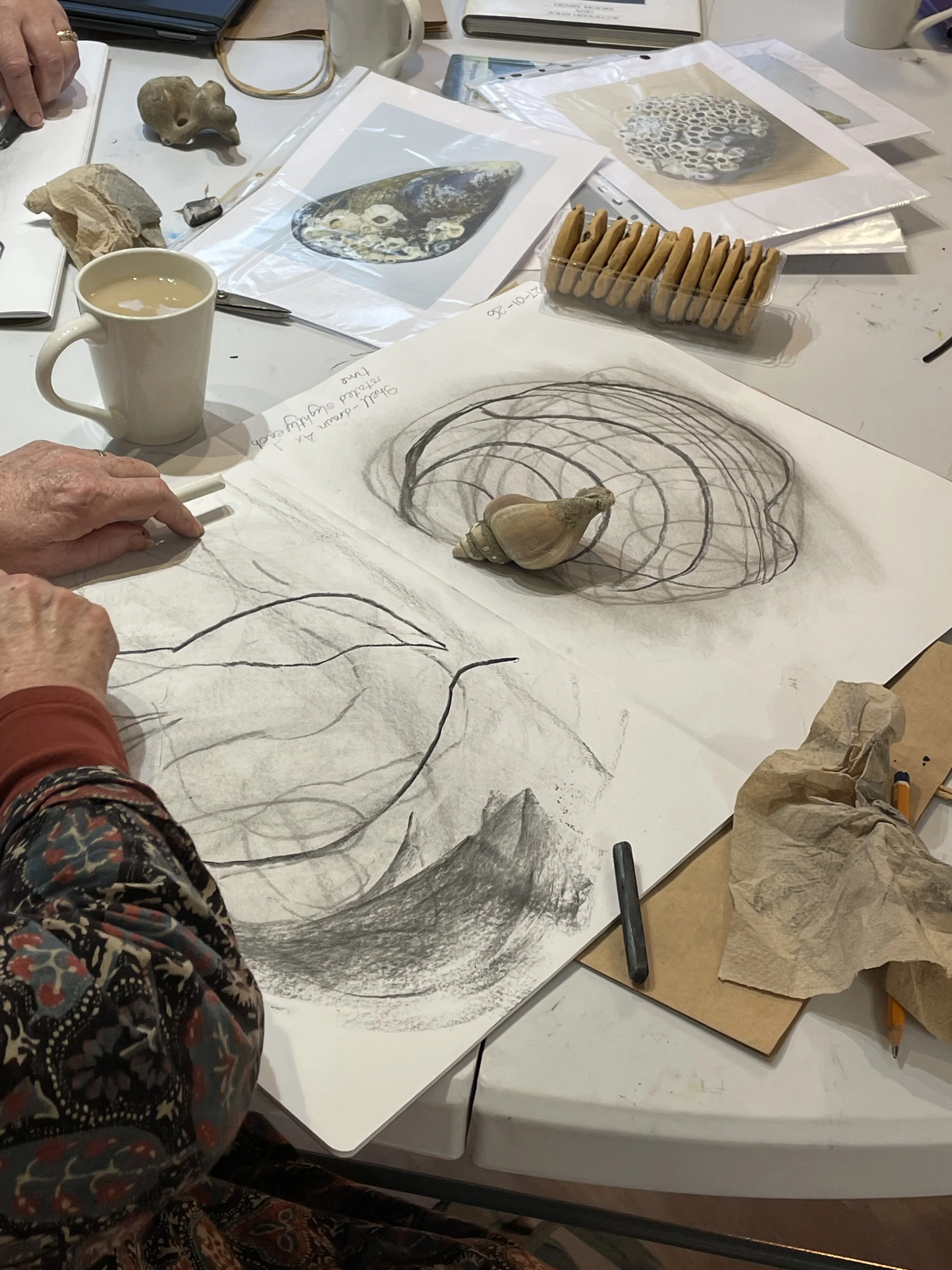  Artful Drawing club activities are inspired by nature, follow the seasons and explore playful drawing techniques. 