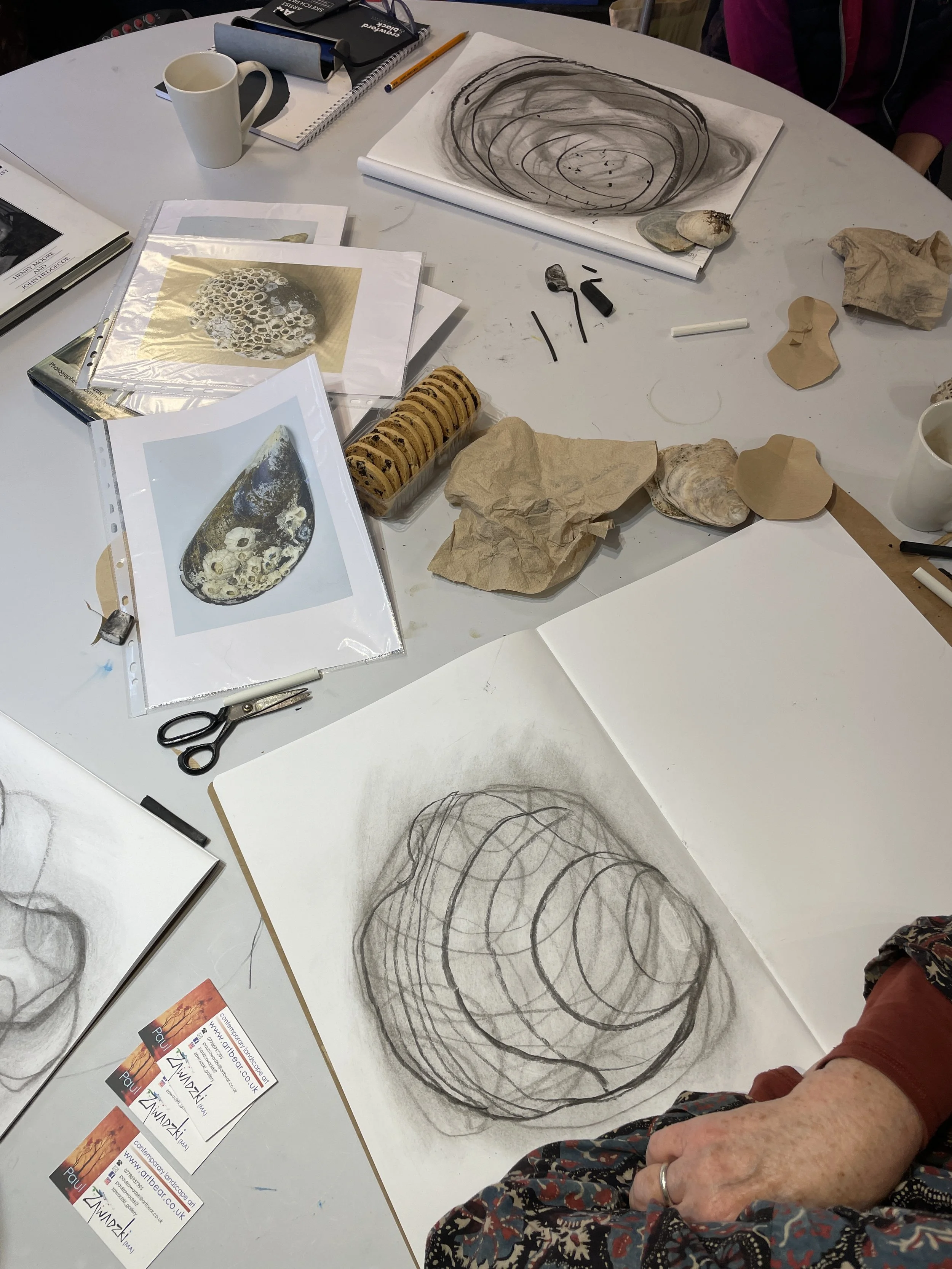  Artful Drawing club activities are inspired by nature, follow the seasons and explore playful drawing techniques. 