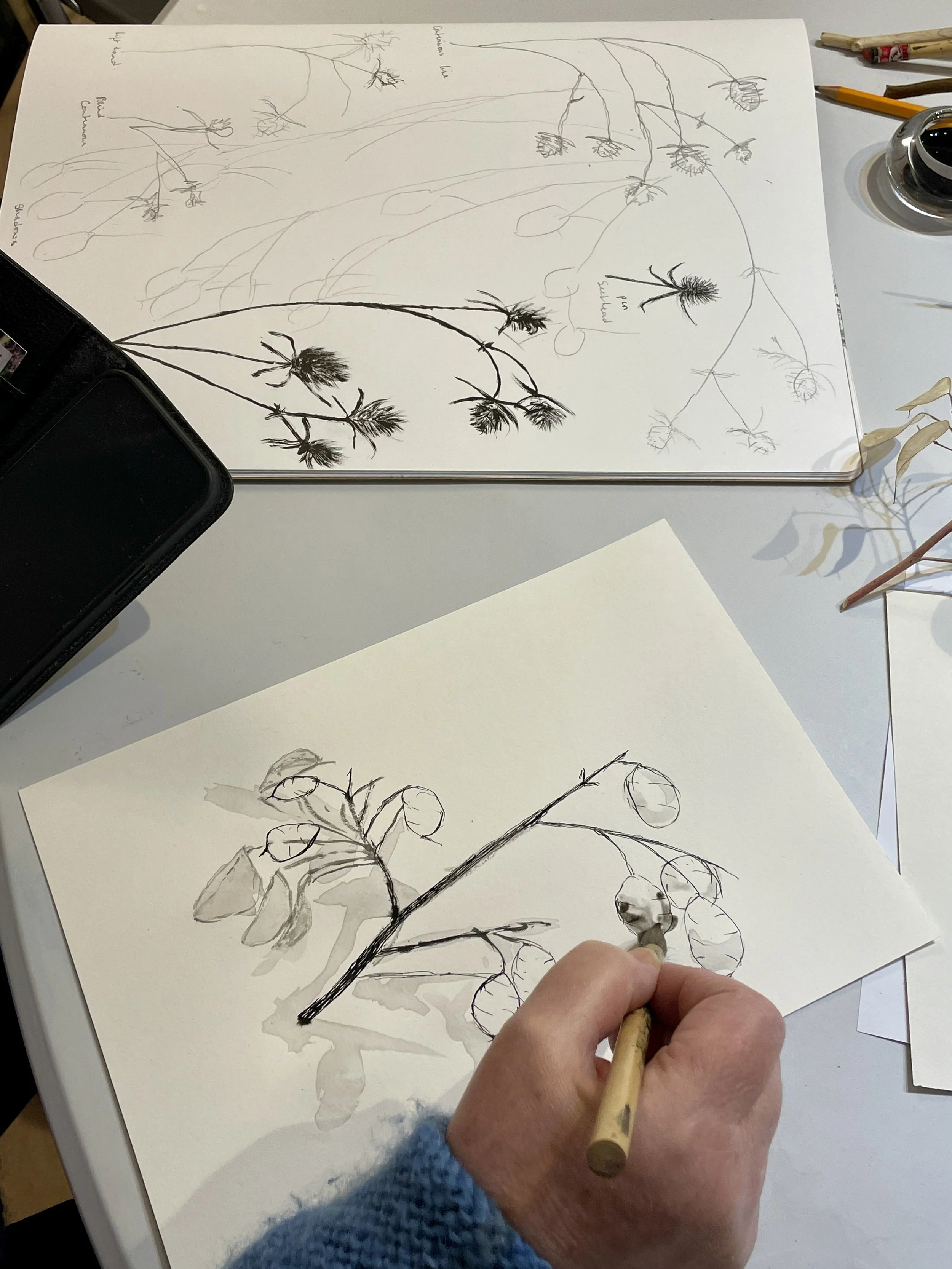 Artful Drawing club activities are inspired by nature, follow the seasons and explore playful drawing techniques.