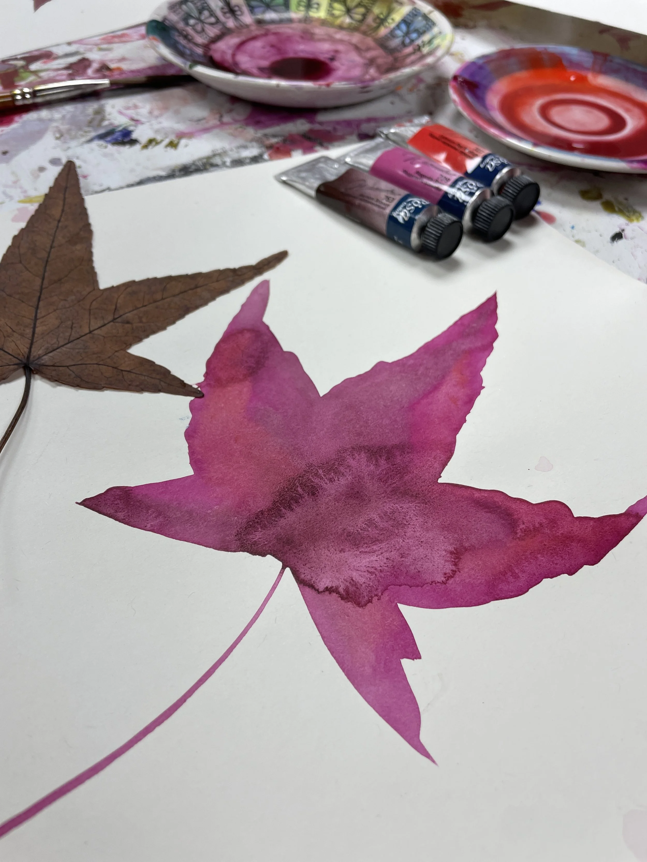 Watercolour leaf paintings