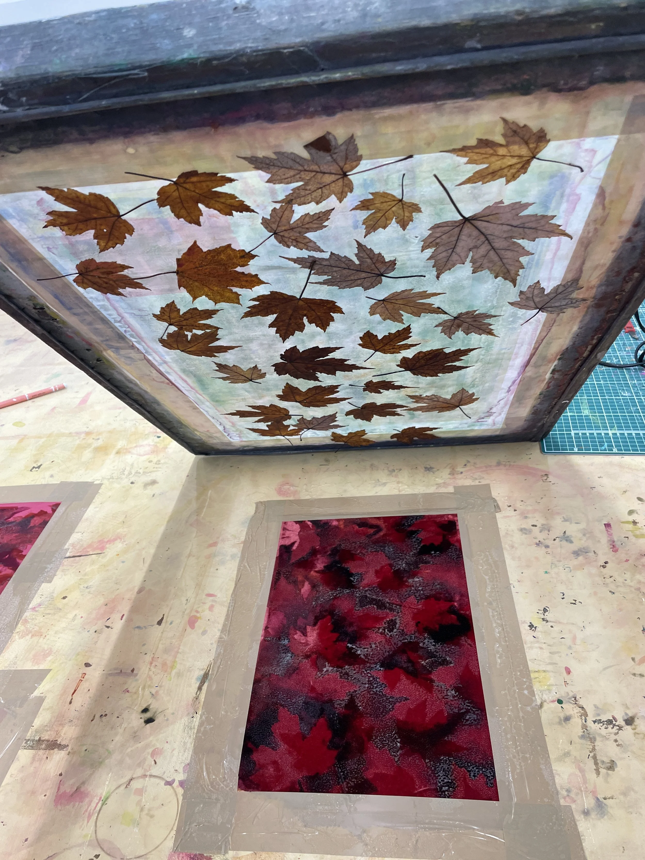 Using leaves as masks for devoré printing