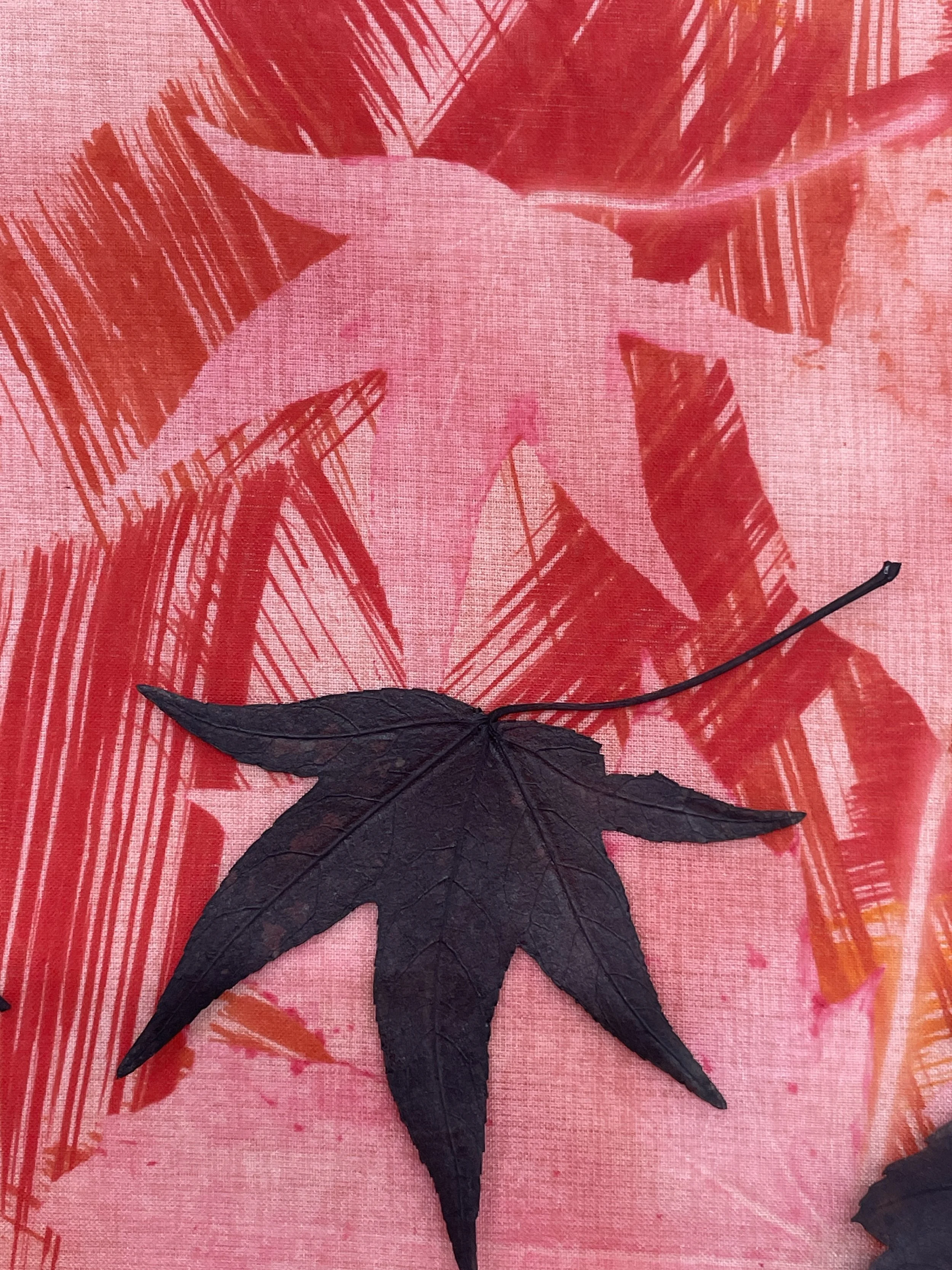 Detail of leaf as mask