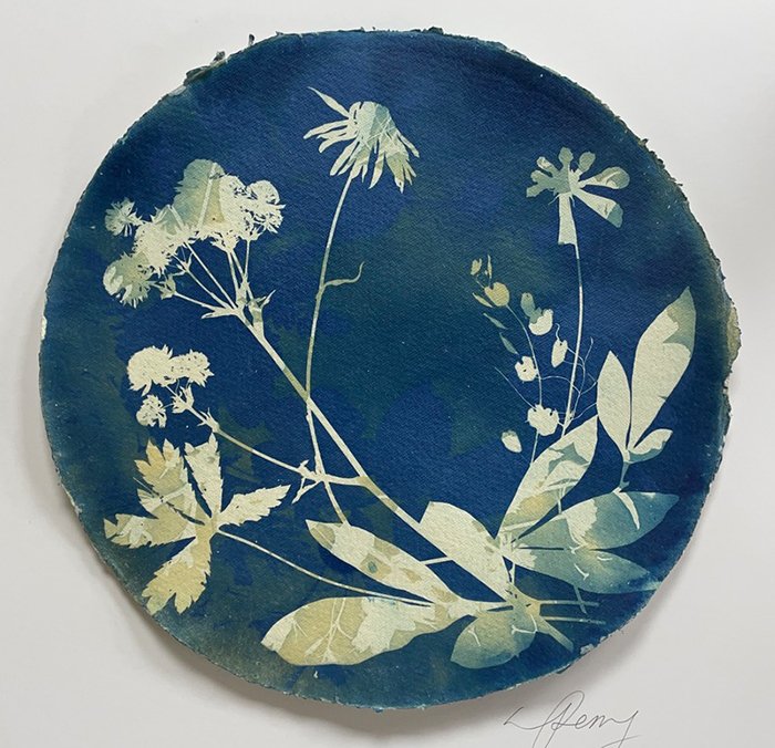 Toning Photogram Cyanotype 700x700px 72dpi.jpg