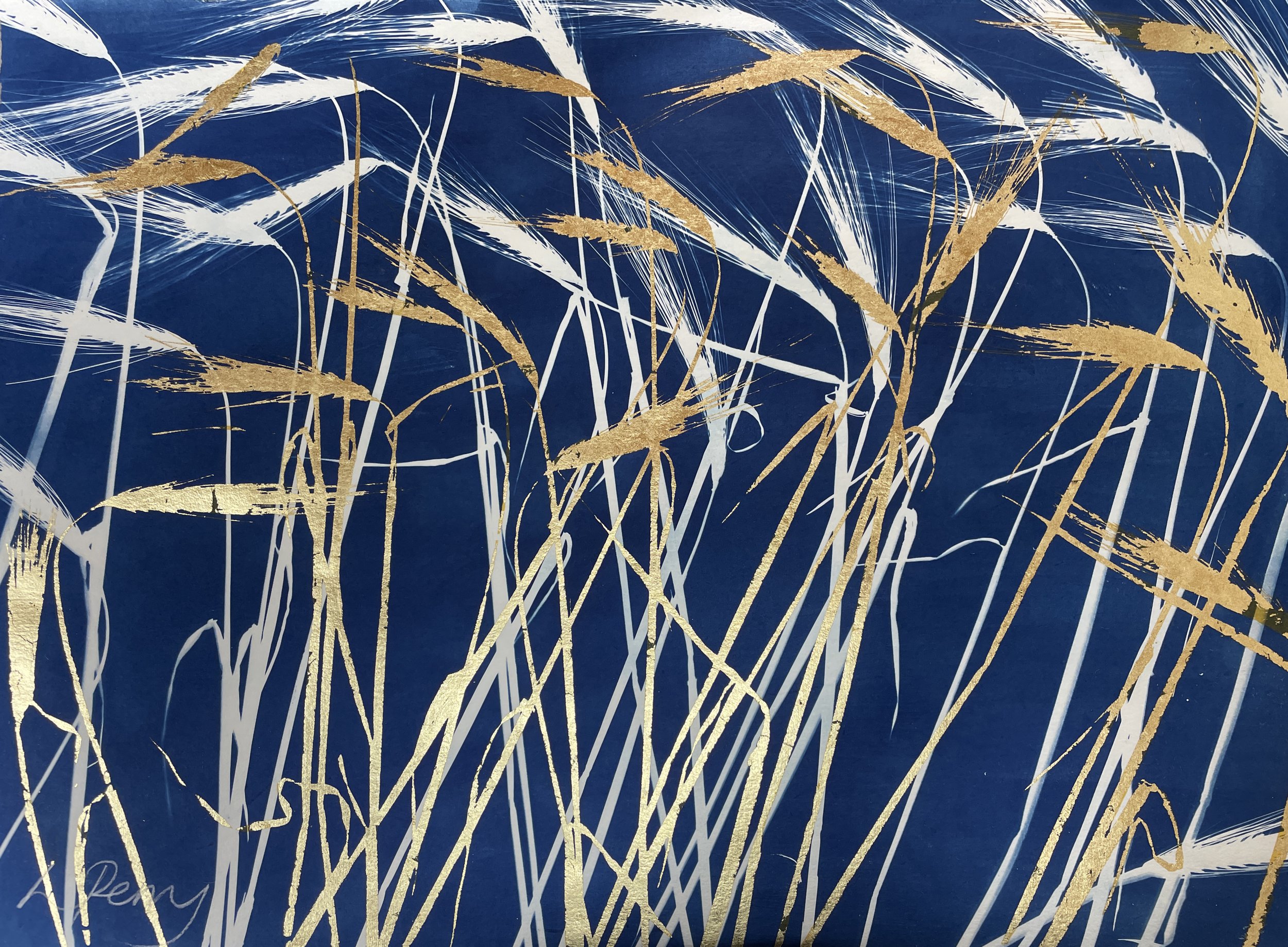 We walk in fields of gold.jpg