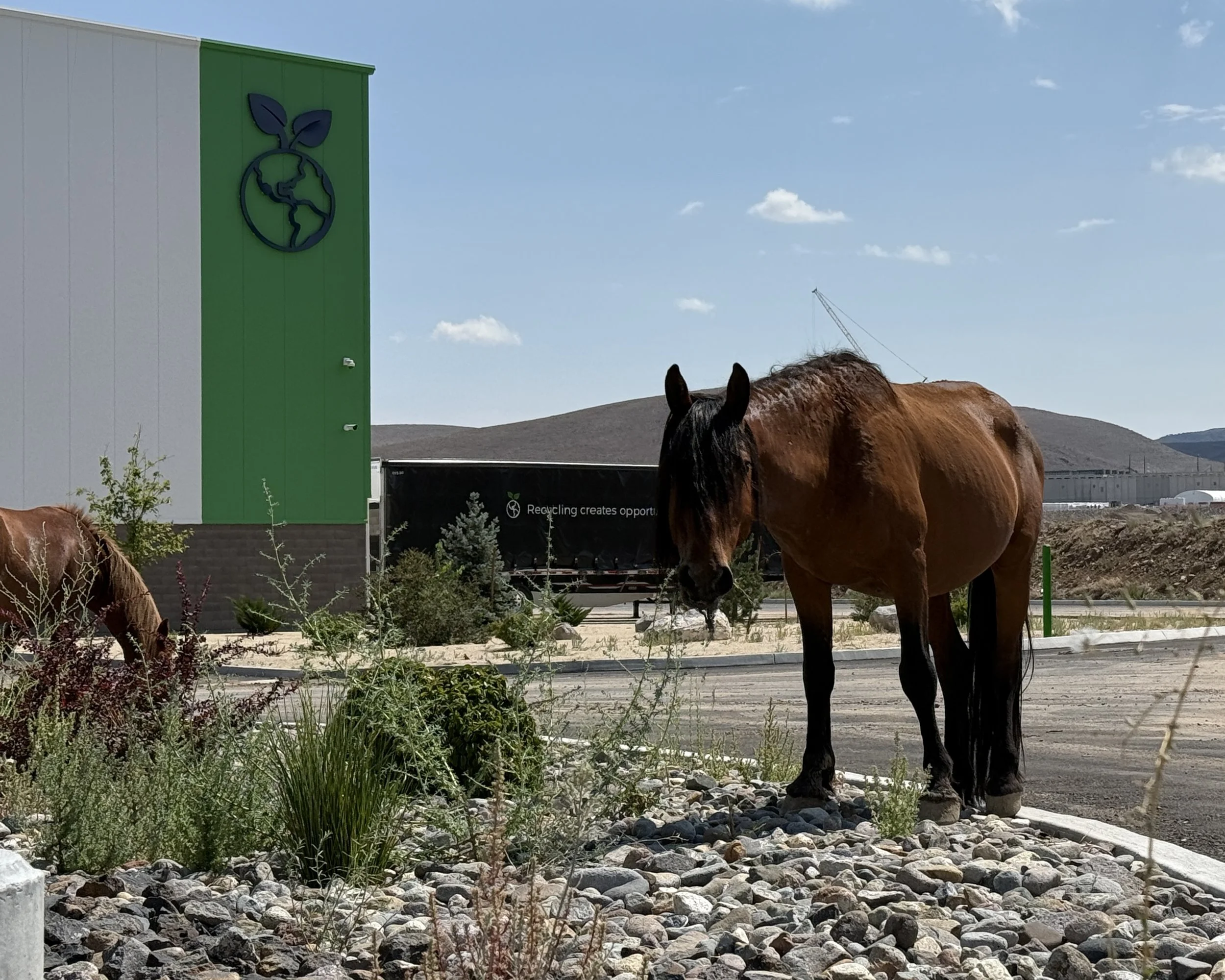 Celebrating the 2026 Lunar New Year: Strength, Momentum, and Progress