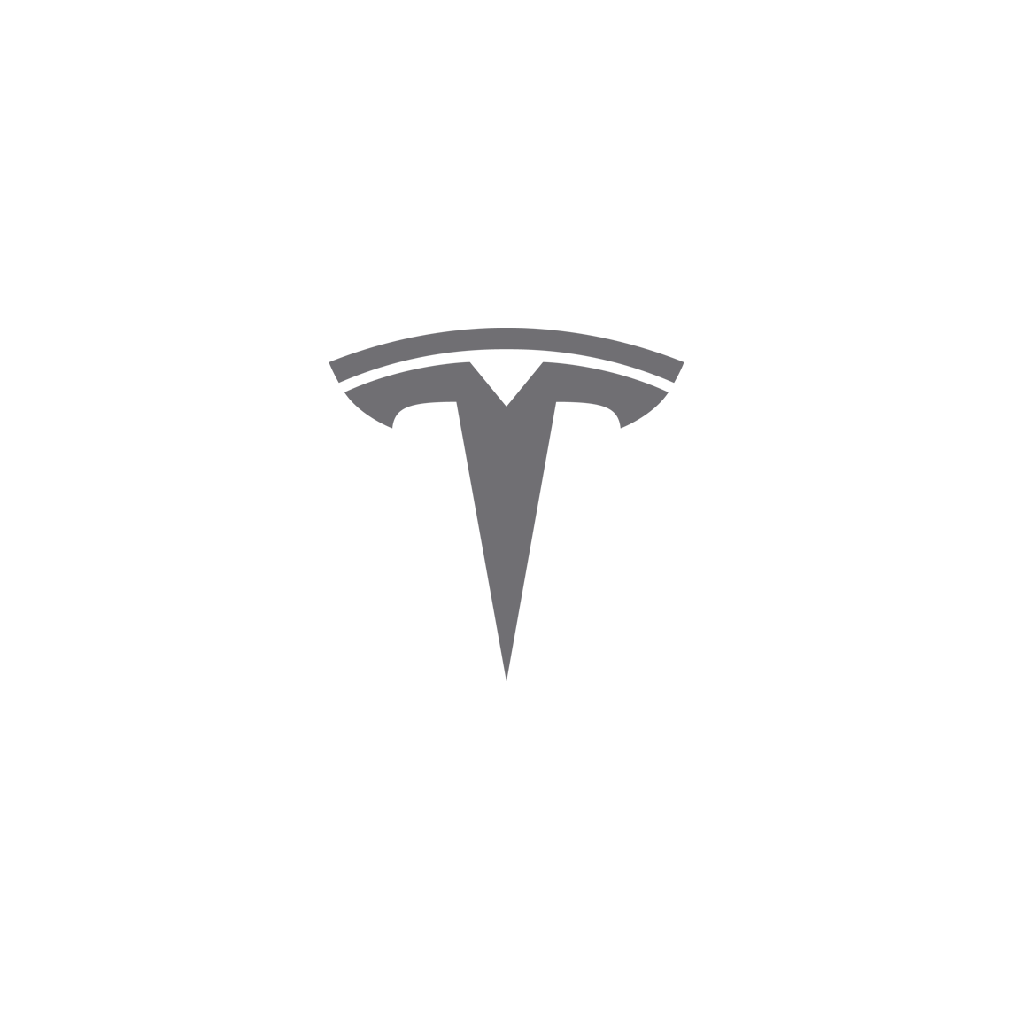 Tesla logo in silver color with a stylized 'T' design.