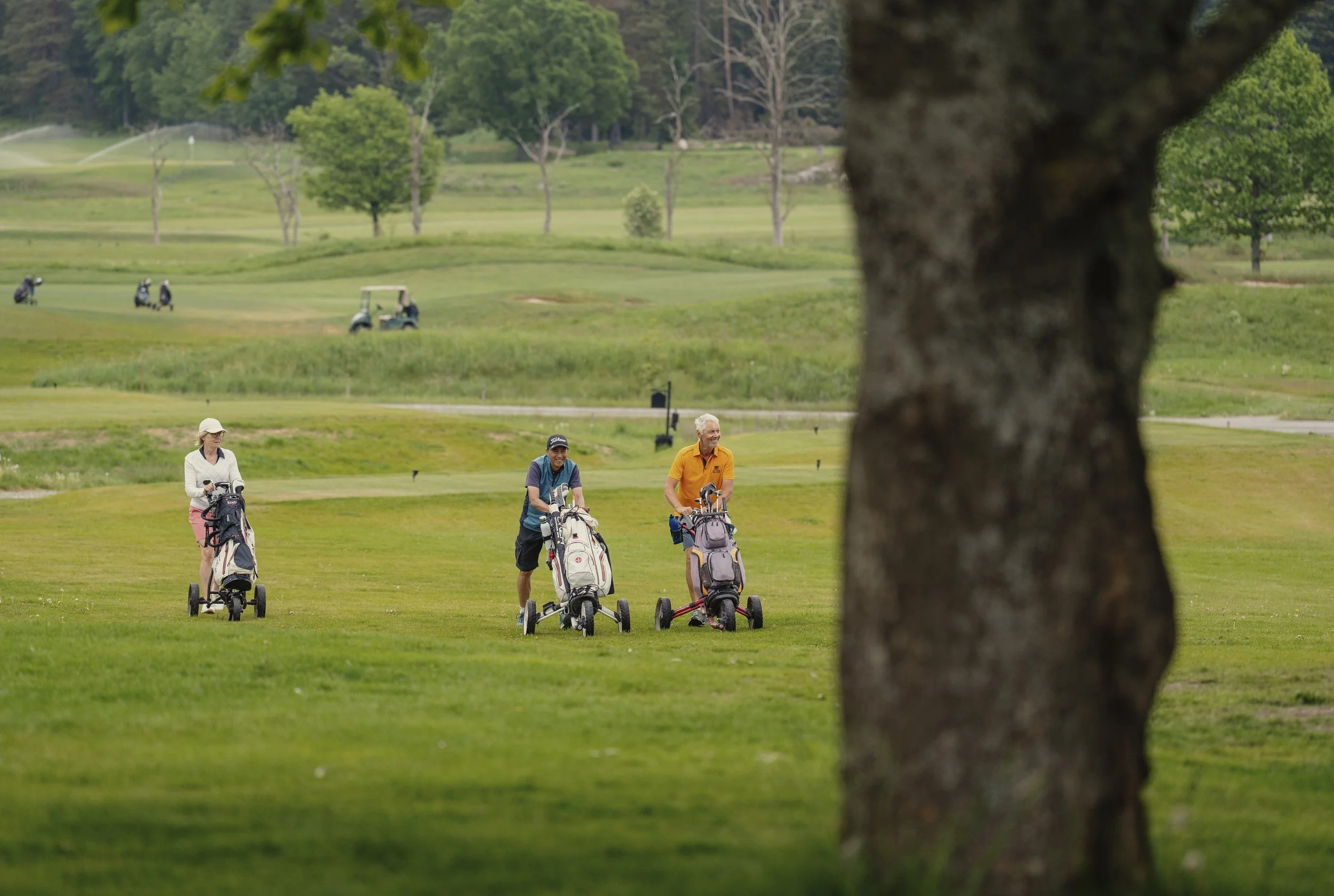 Info efter tävlingen 5 juni