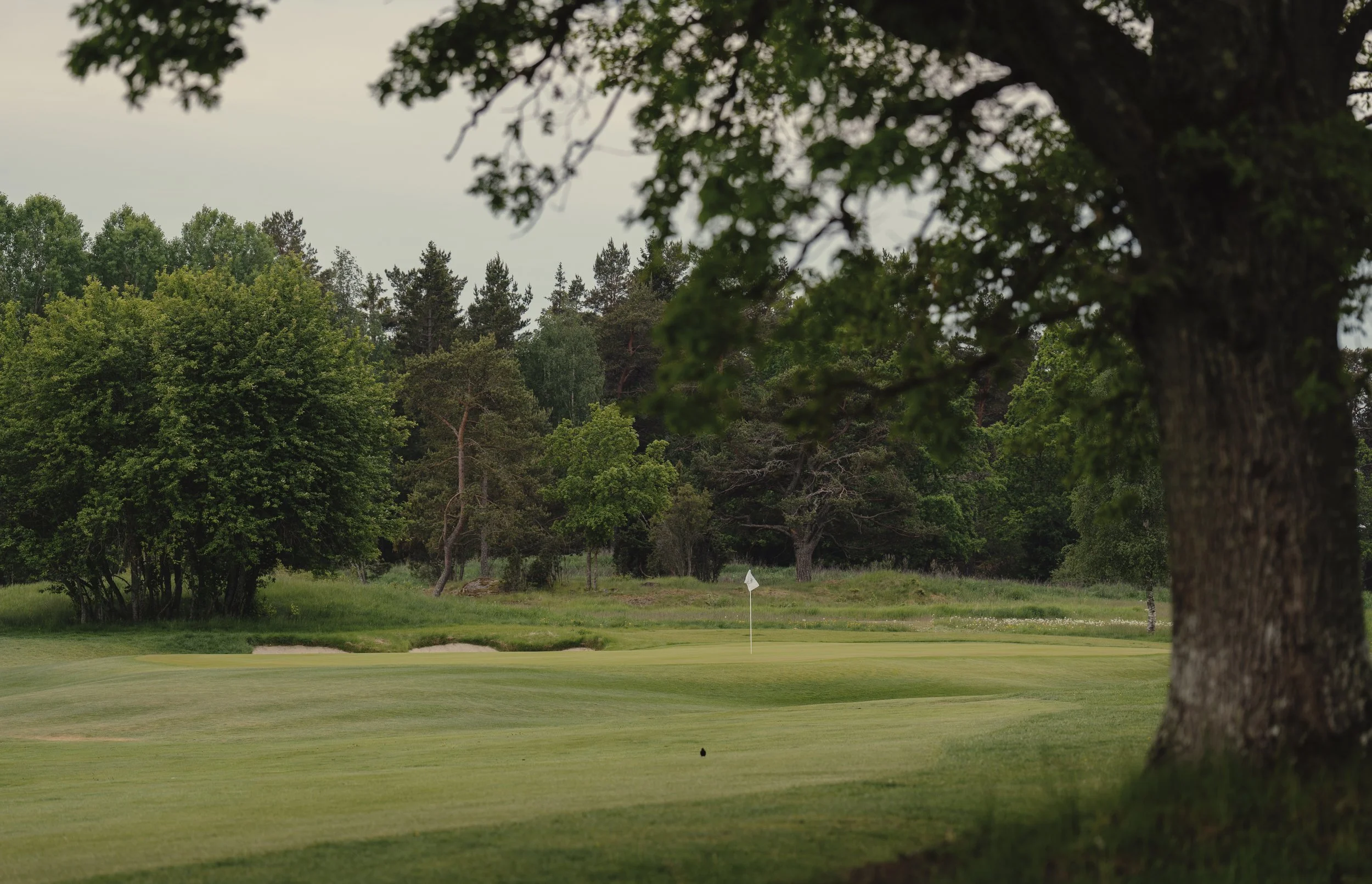 Information för kommande vecka