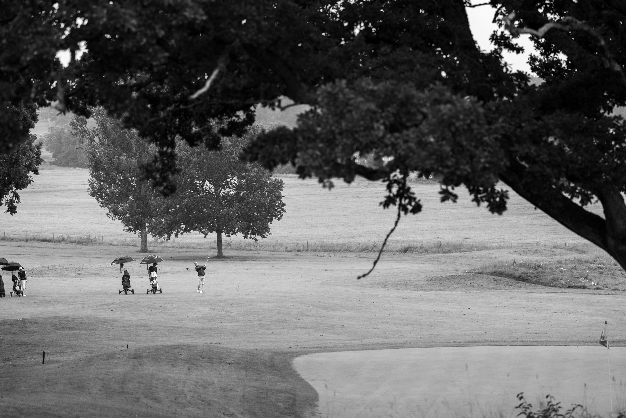 Information om green 4