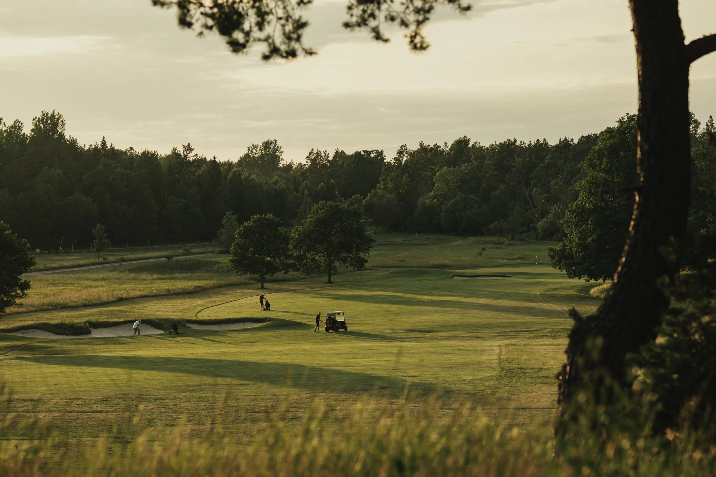 Hålpipning och dressning av greener på Ängsbanan 